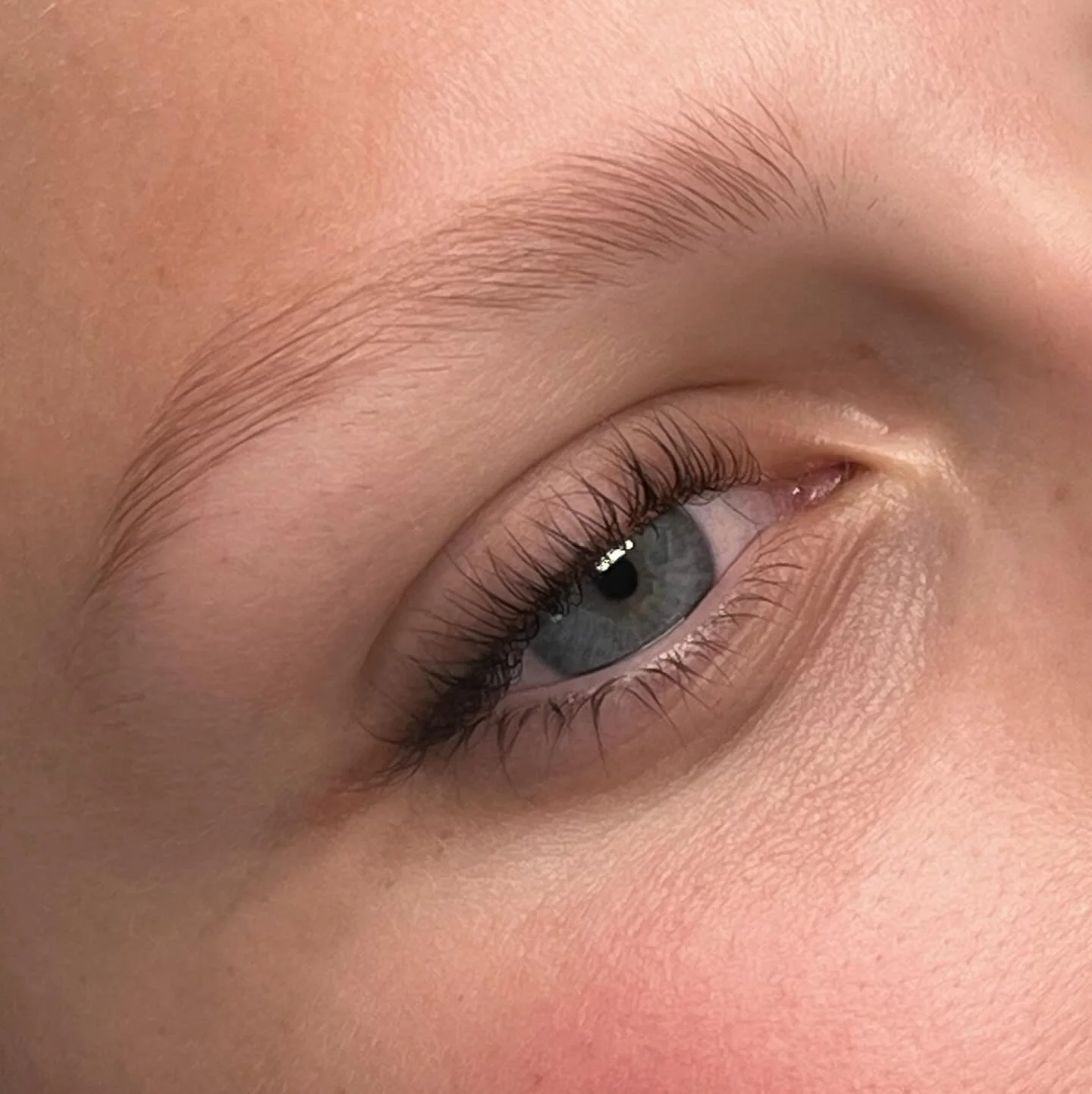 Her eyes are my favorite color🩵🦋🪼❄️💎 

#lashlift #lash #lashtransformation #venturalashes #venturaesthetician