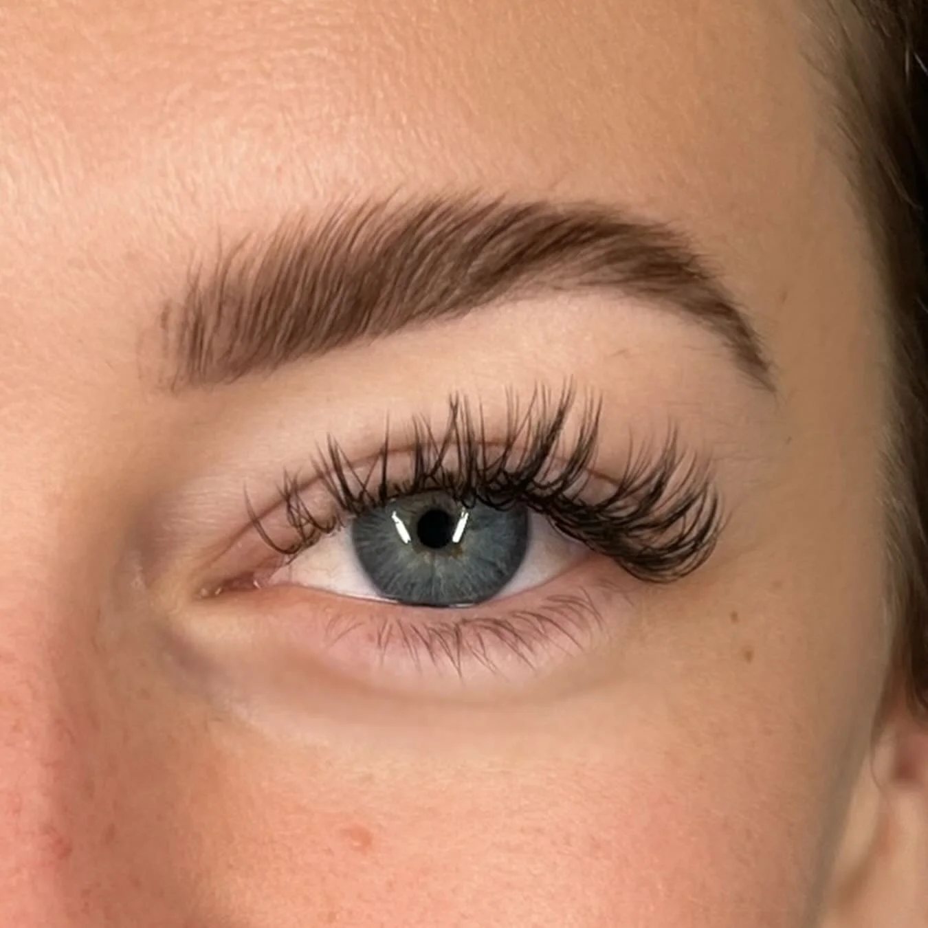 Wispy new lash set🦋

Using @lashklub_ ✨

#lashextensions #lash #venturalashes #browlamination #venturabrows