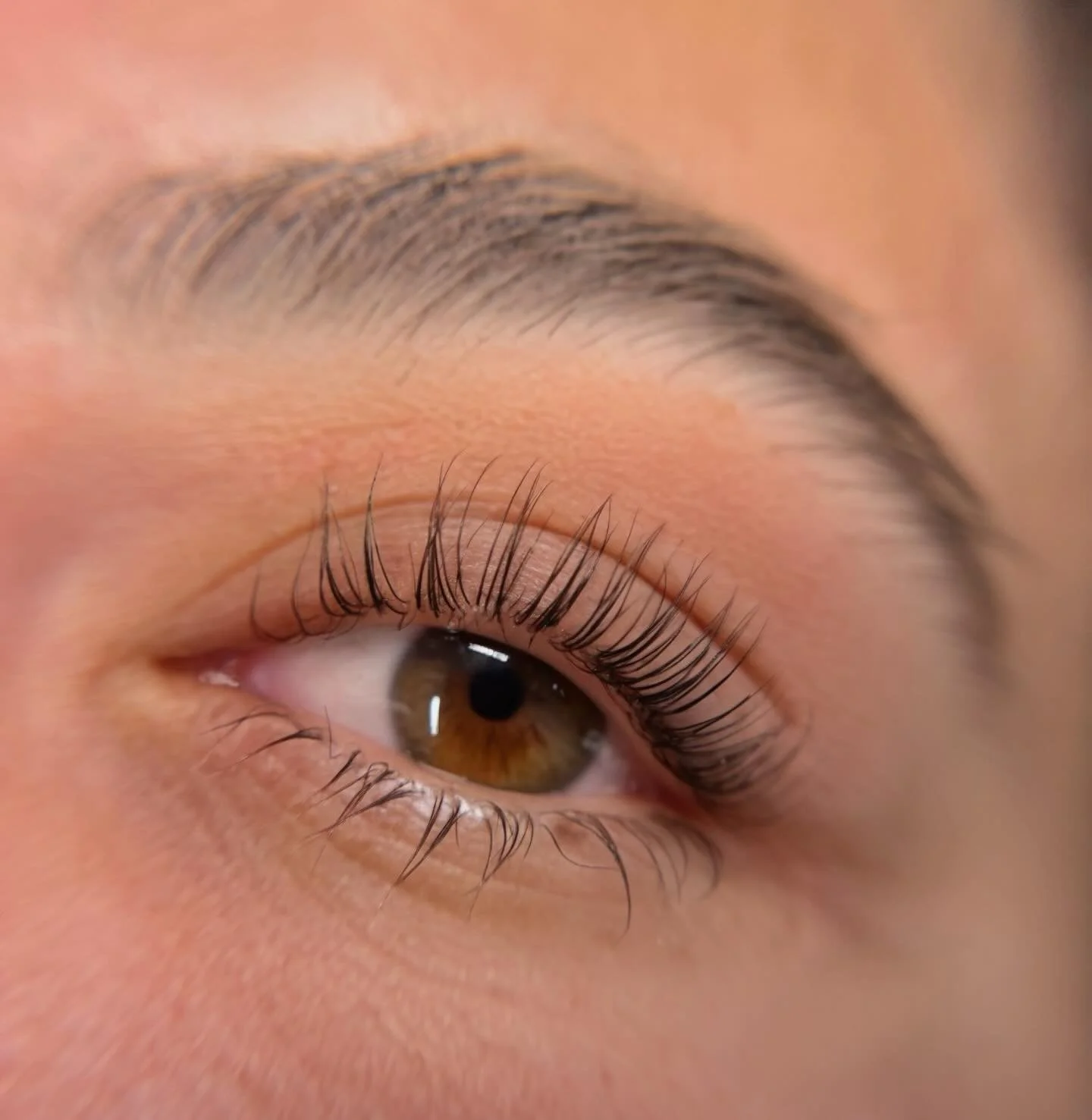 Pretty little lash lift 💛🪽

#lashlift #venturalashes #venturabrows #venturaesthetician