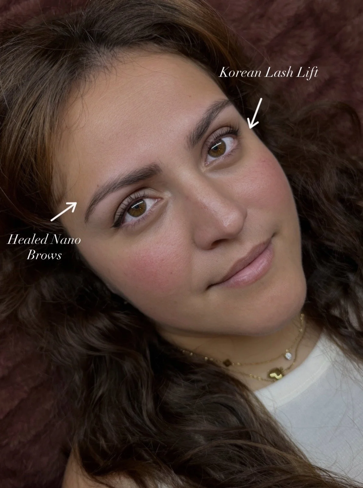 Healed Nano Brows