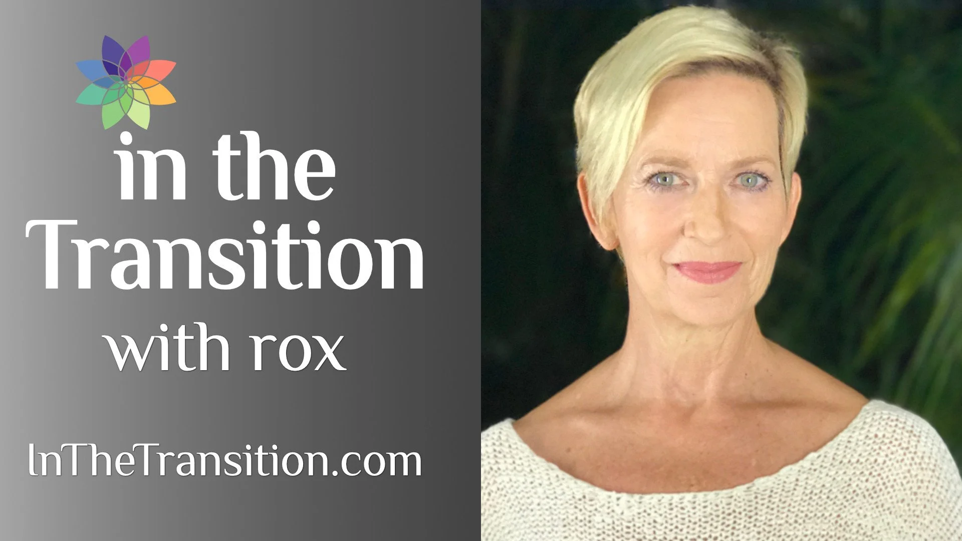 In the Transition is Now a Podcast, Too