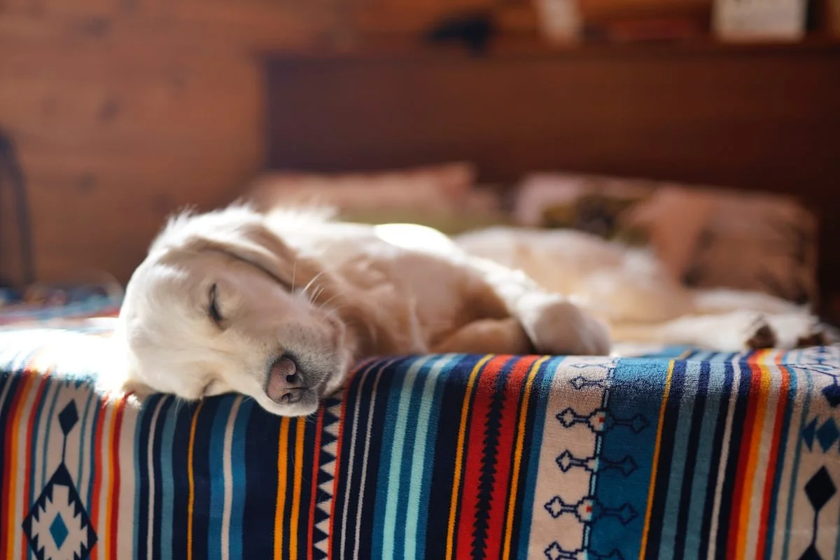 Favorite Things: Writing and Resting