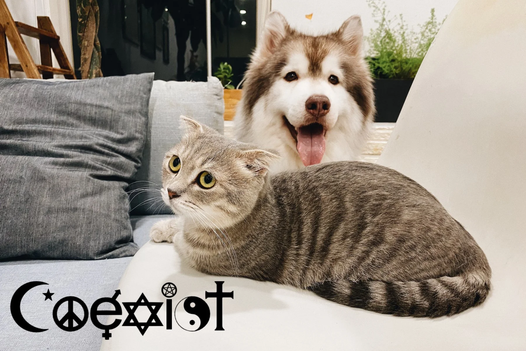 Instead of Unite, COEXIST