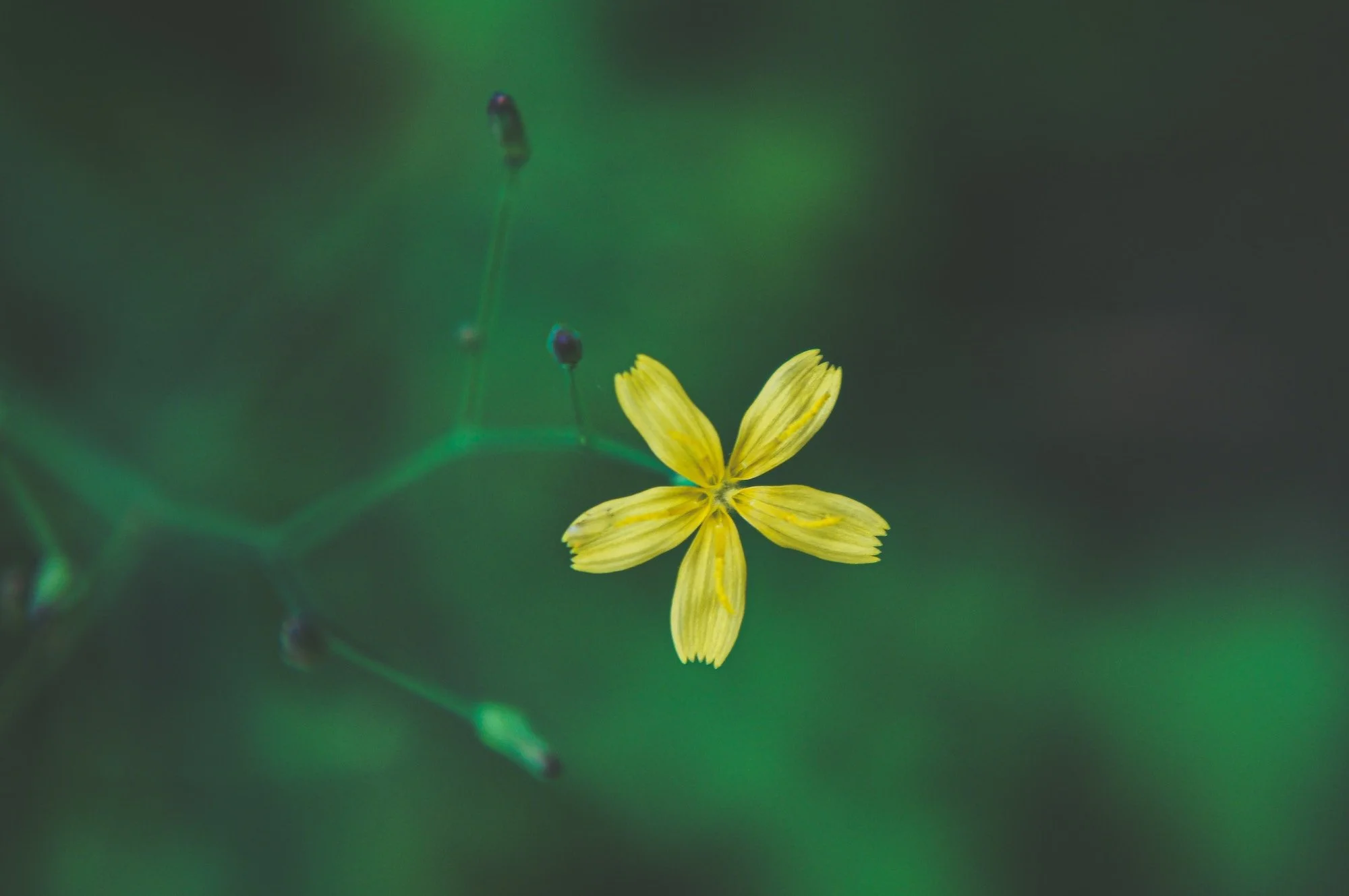 The Big Power of Little Things