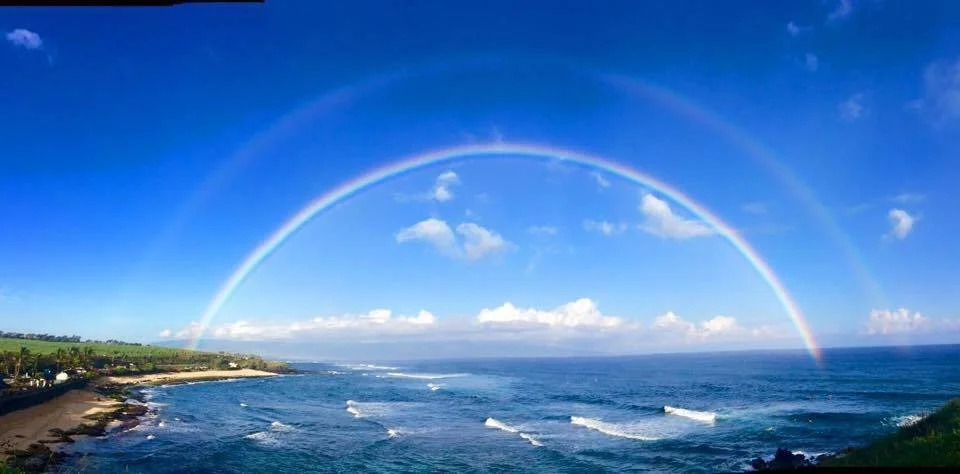 Maui is Strong and Also Needs Your Help