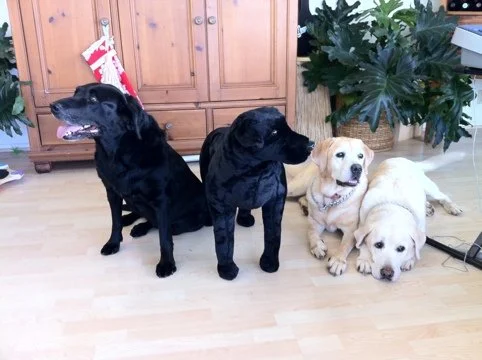 The Power of Reclaiming My Power