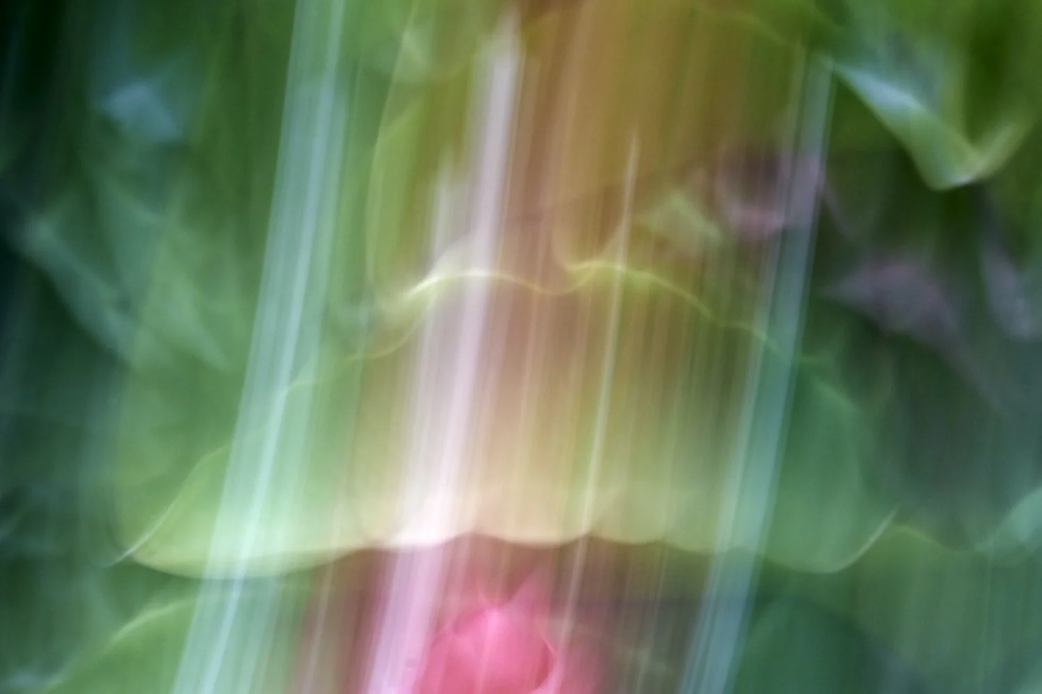 What is Consciousness?