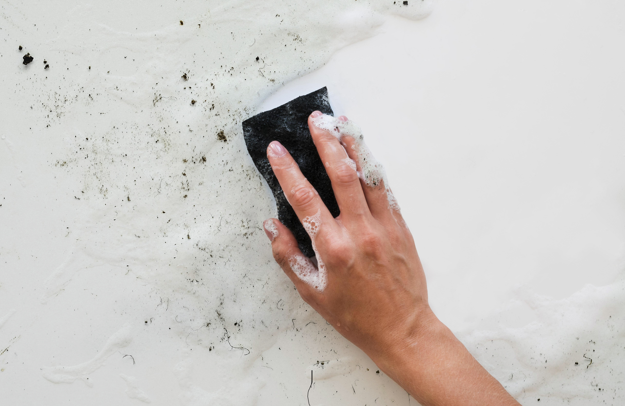 It’s That Time of Year Again – Let’s Talk About Mould!