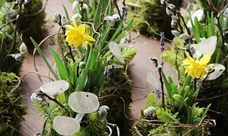 Tennessee Plant Show @ Meadowview Convention Center, Kingsport, TN