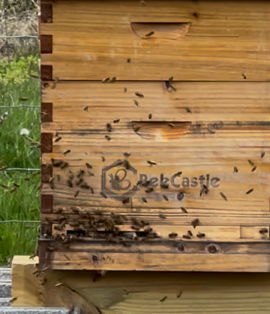 View recent photos.png