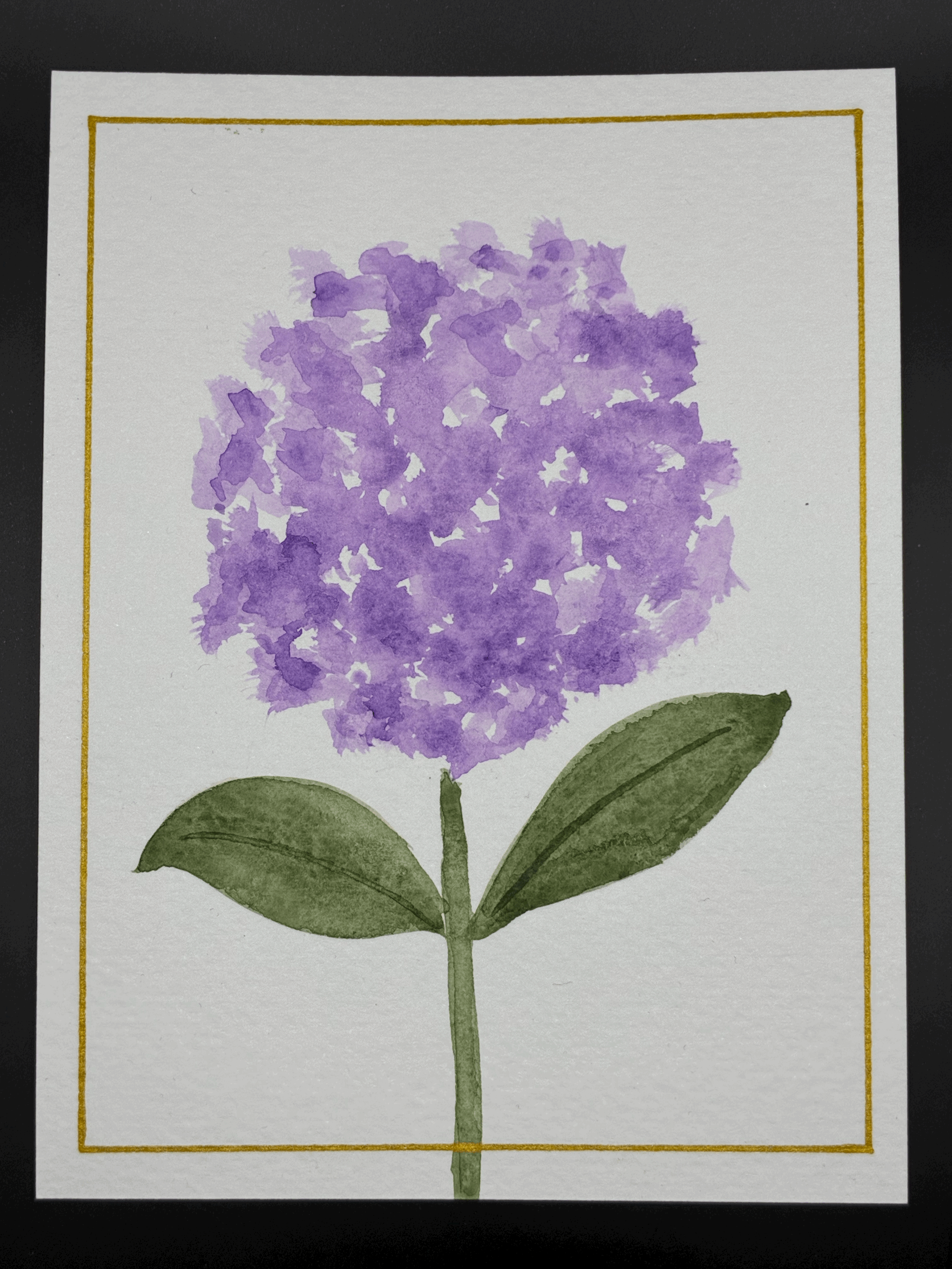 Purple gold hydrangea