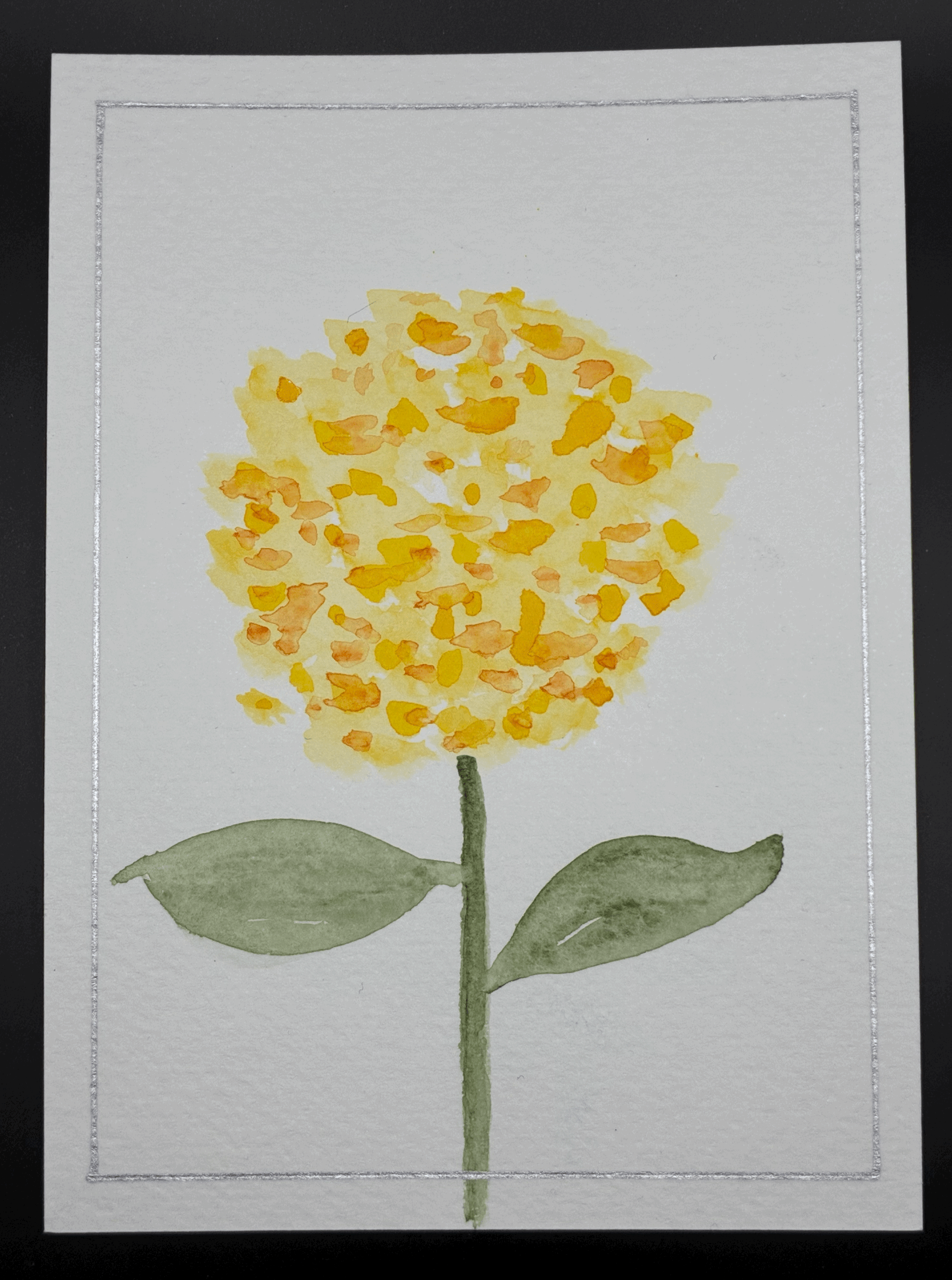 Yellow silver hydrangea