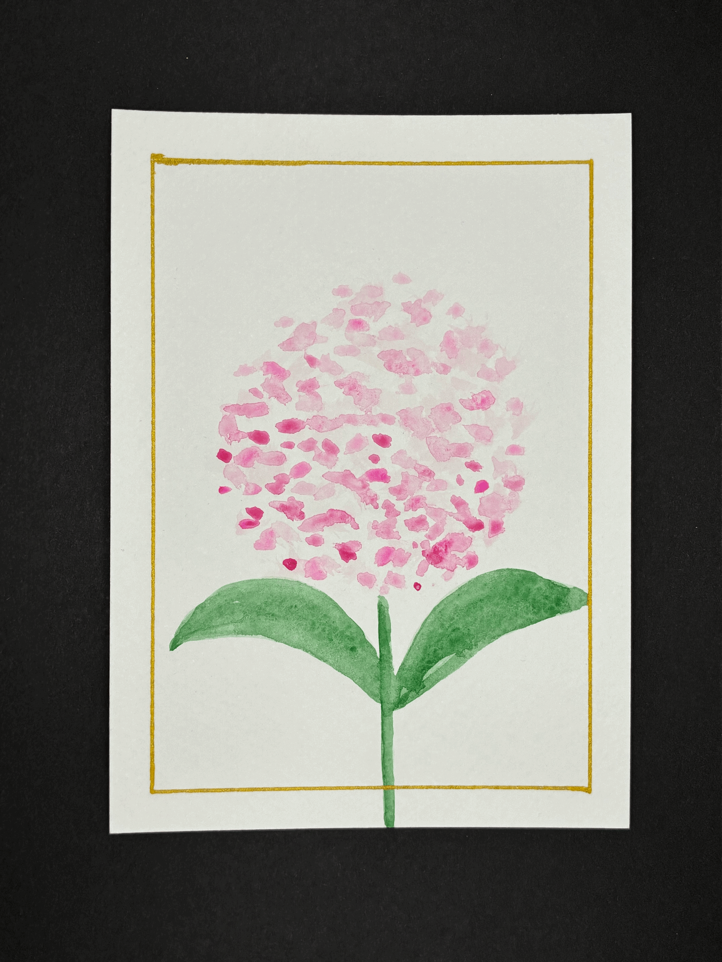 Pink/gold hydrangea 3