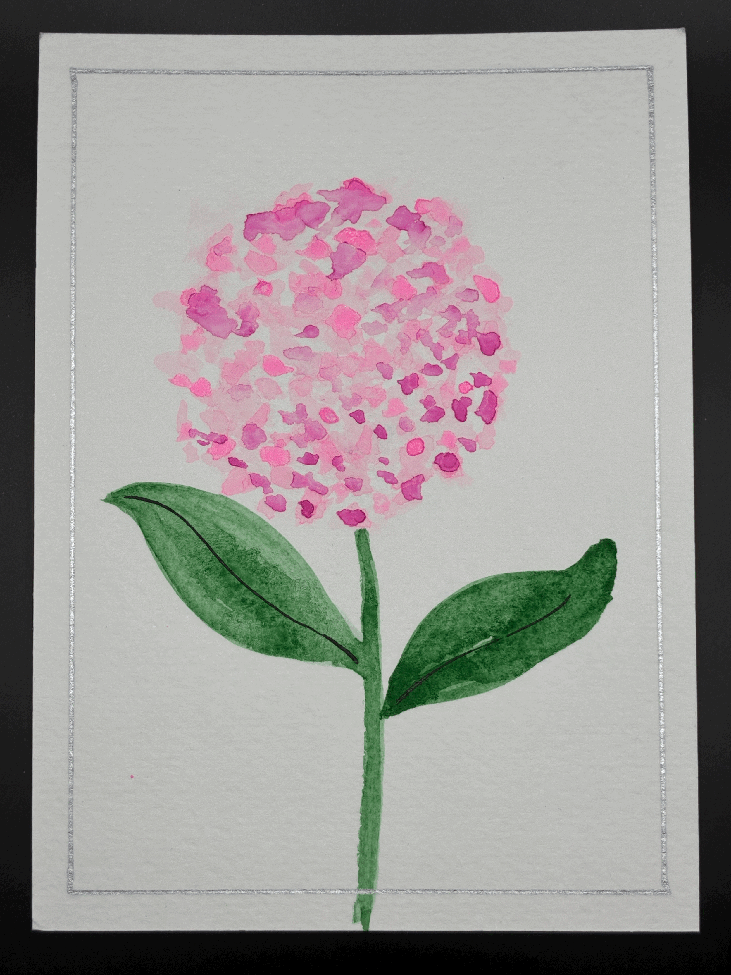 Pink silver hydrangea