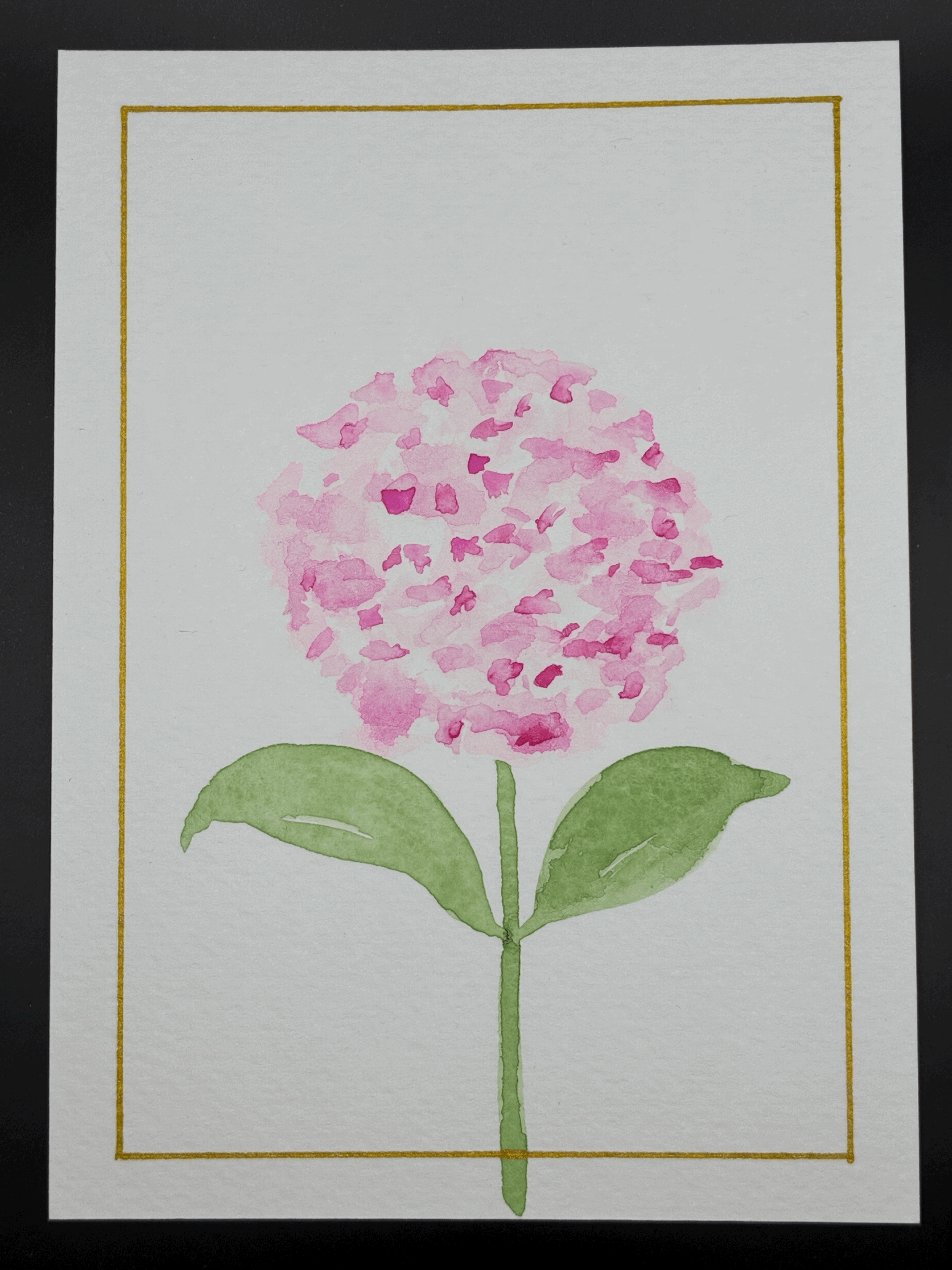 Pink Gold Hydrangea2