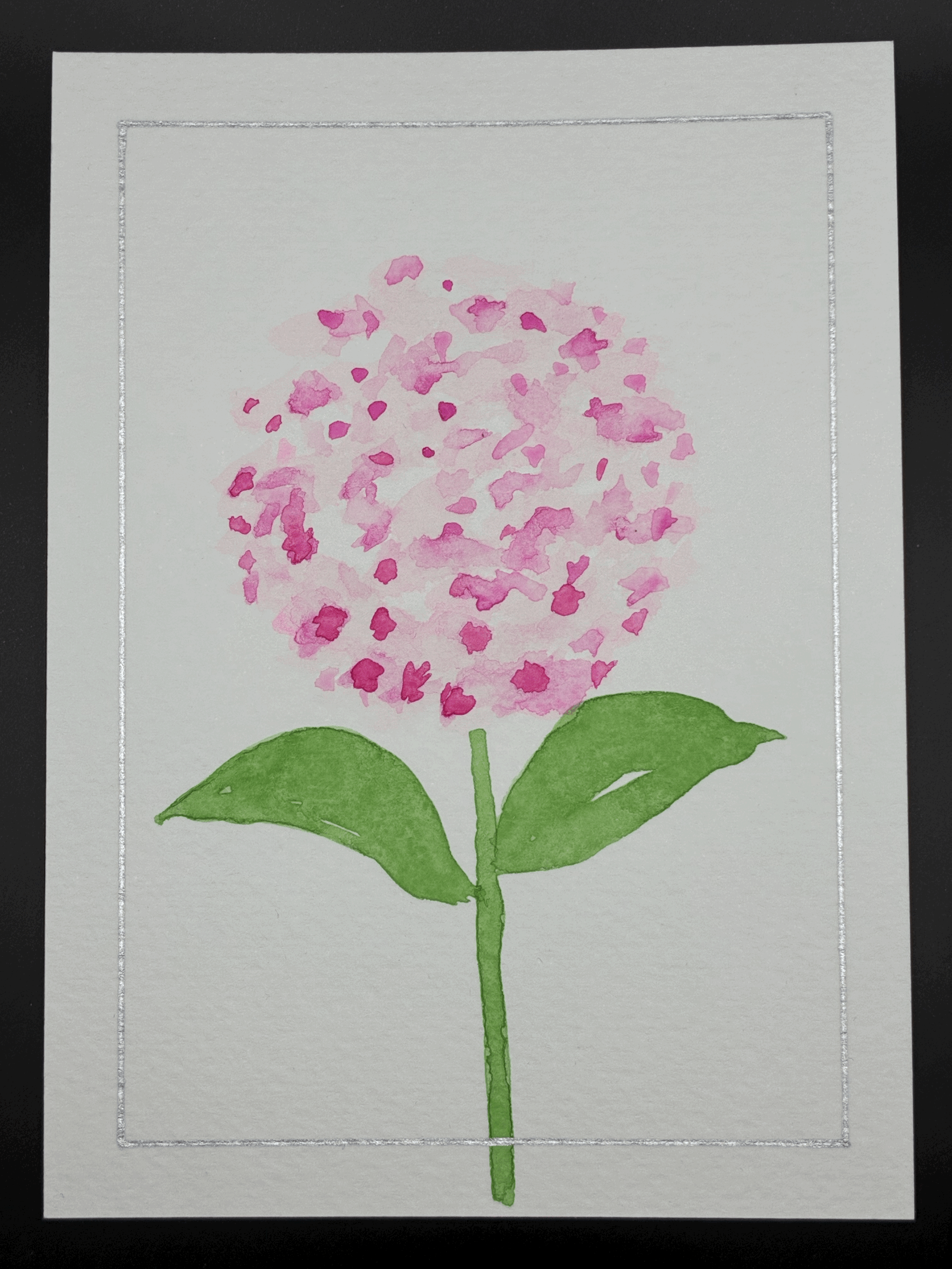 Pink silver hydrangea 2