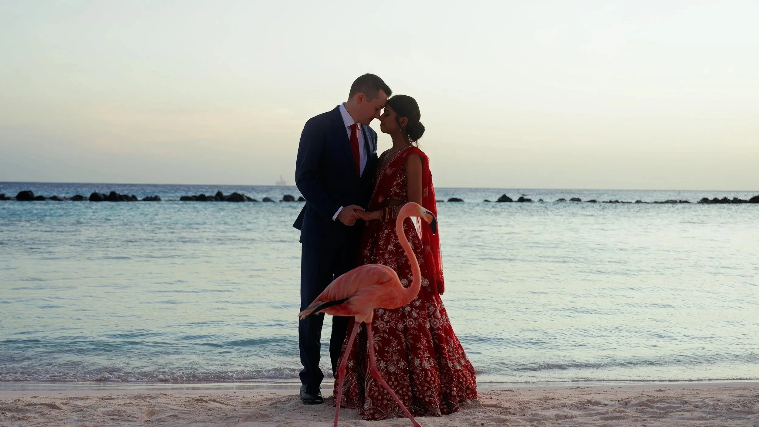 Aruba destination wedding couple with a flamingo on the beach at Renaissance Aruba Flamingo Island