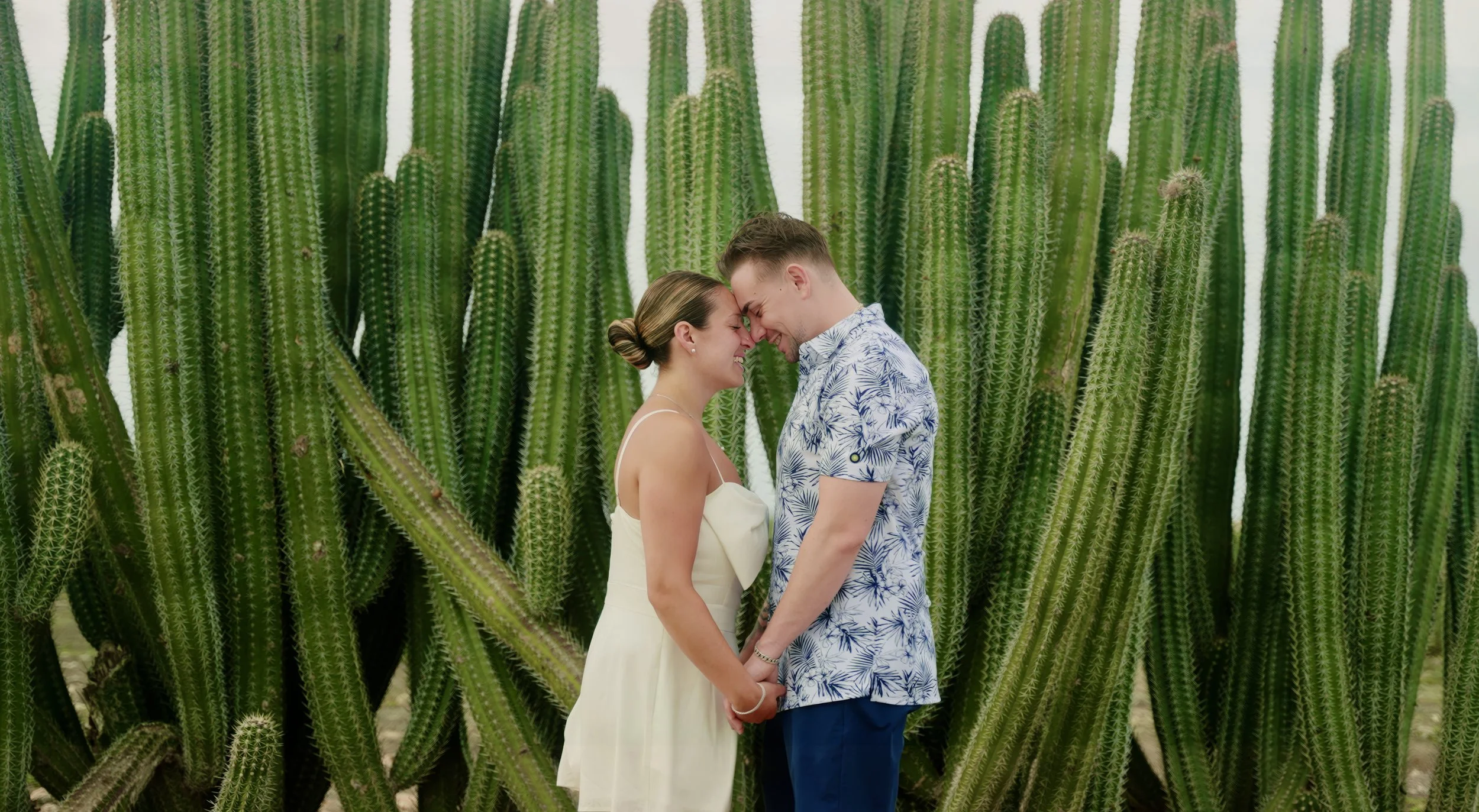Aruba wedding couple Gianna and Daniel holding hands by a giant cactus during an Aruba adventure session with Aruba wedding videographer Wedding Films by Mira