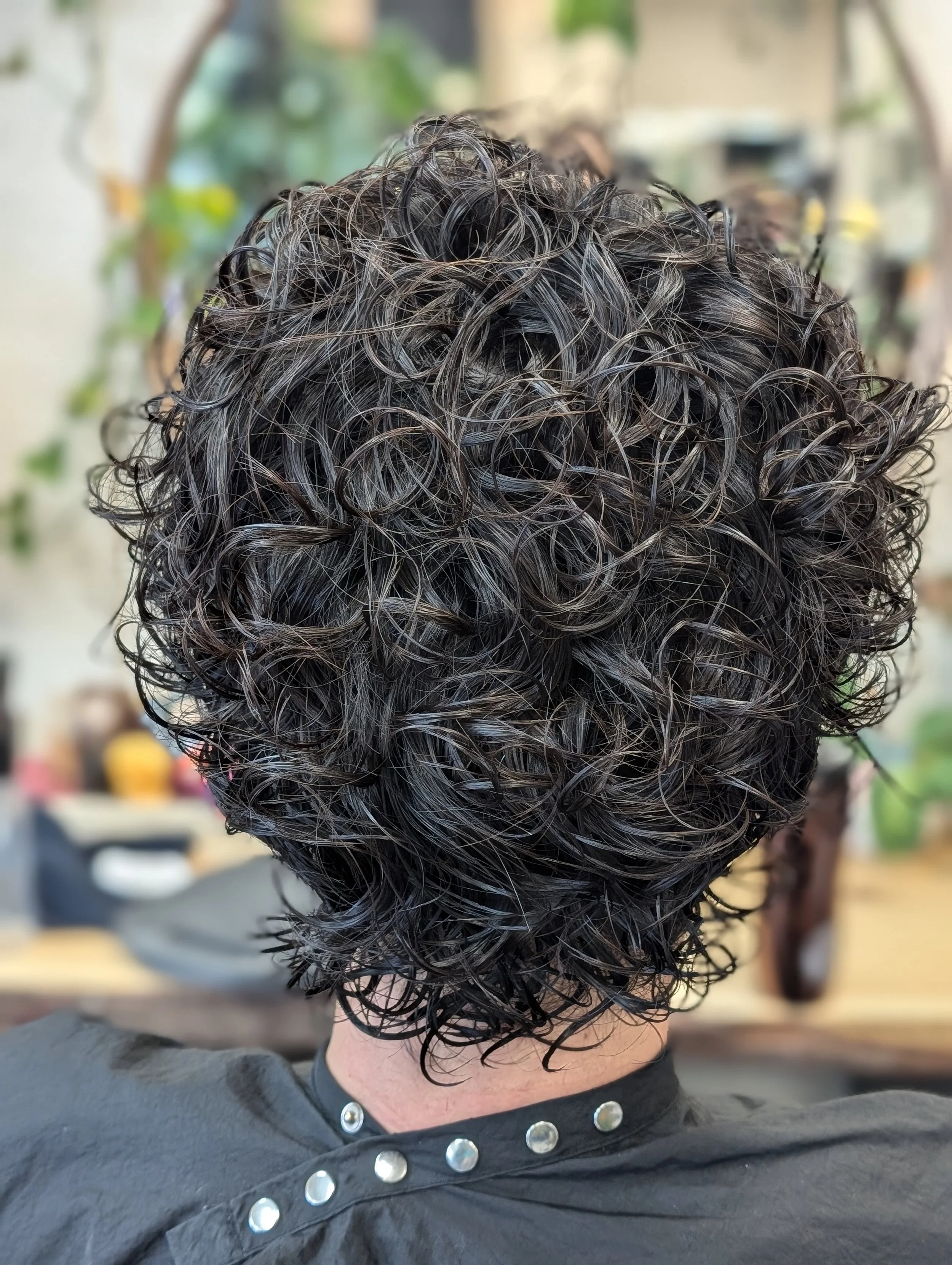 Back of a person's head with short, curly, dark hair.