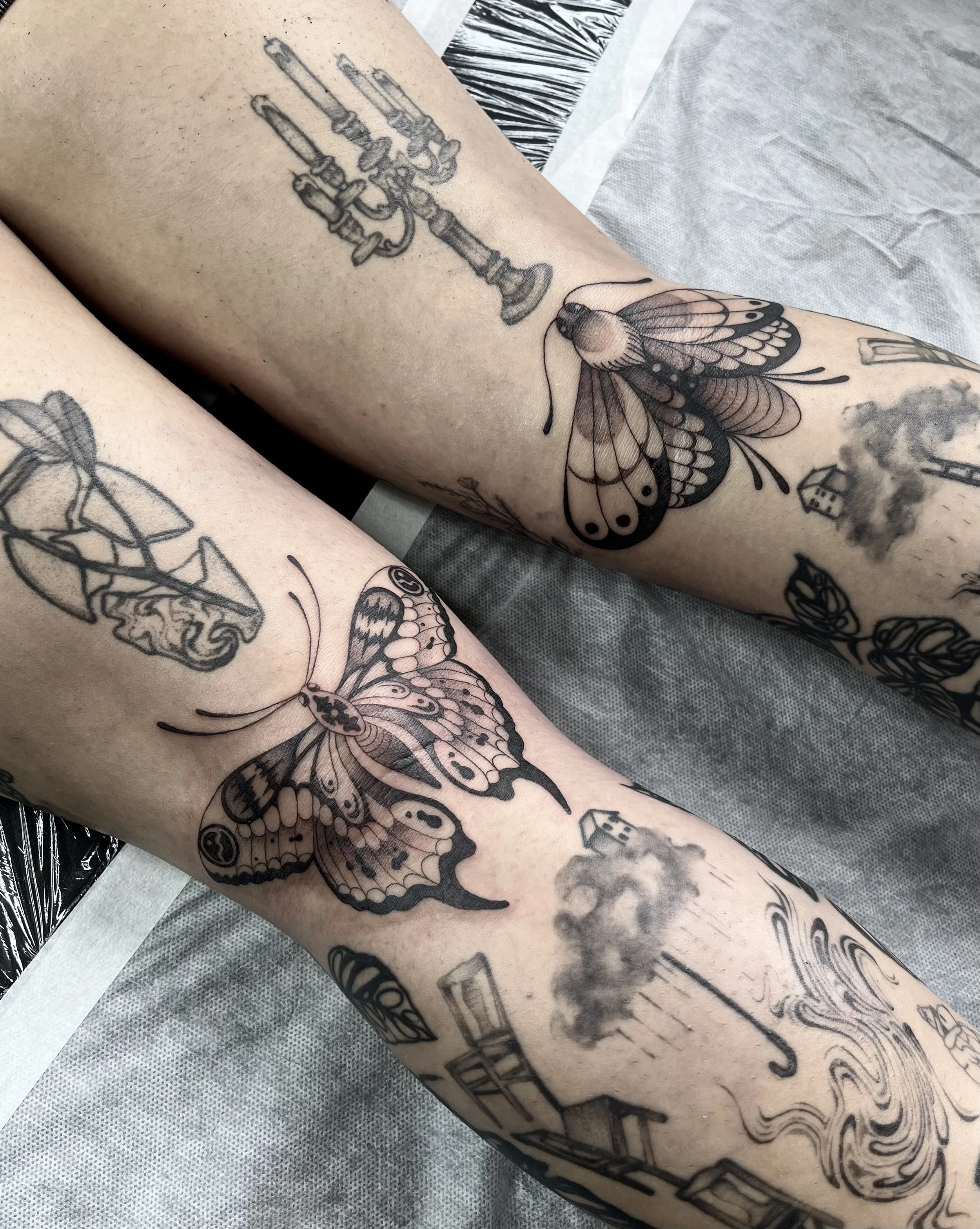 Artist: Aleia Accioly—  knee ditch moth
