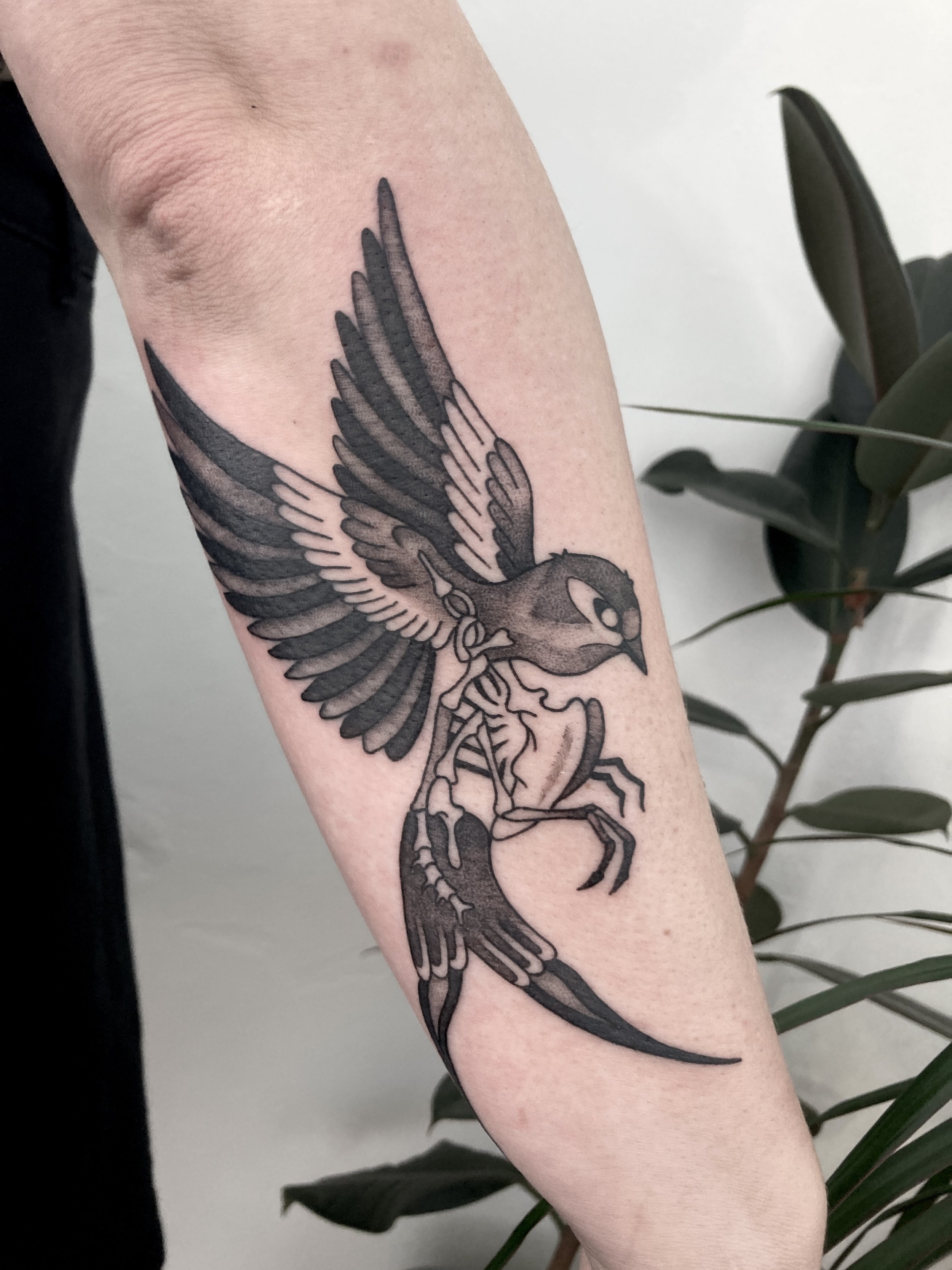 Artist: Aleia Accioly— skeleton bird forearm