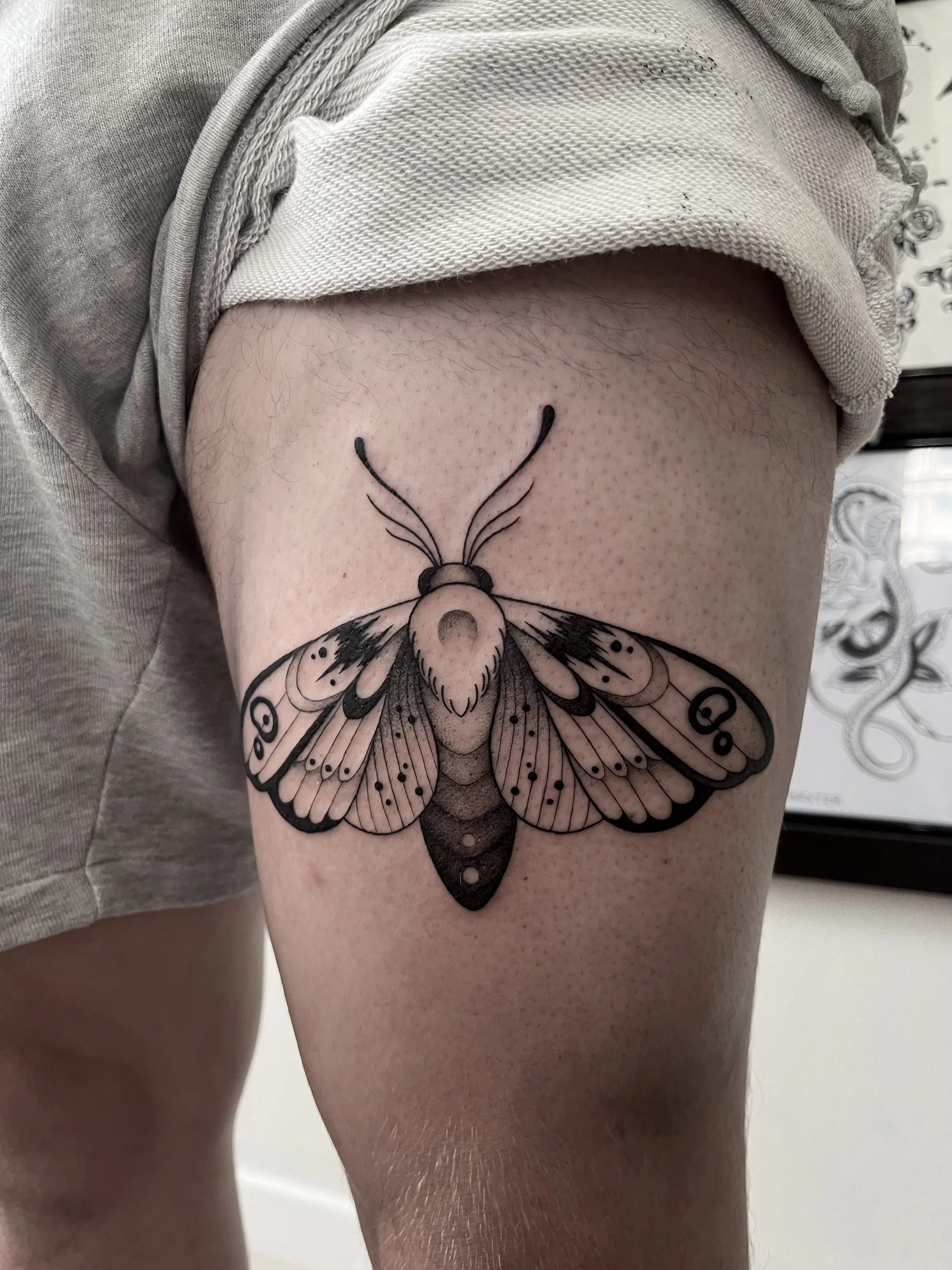 Artist: Aleia Accioly— Large Moth piece