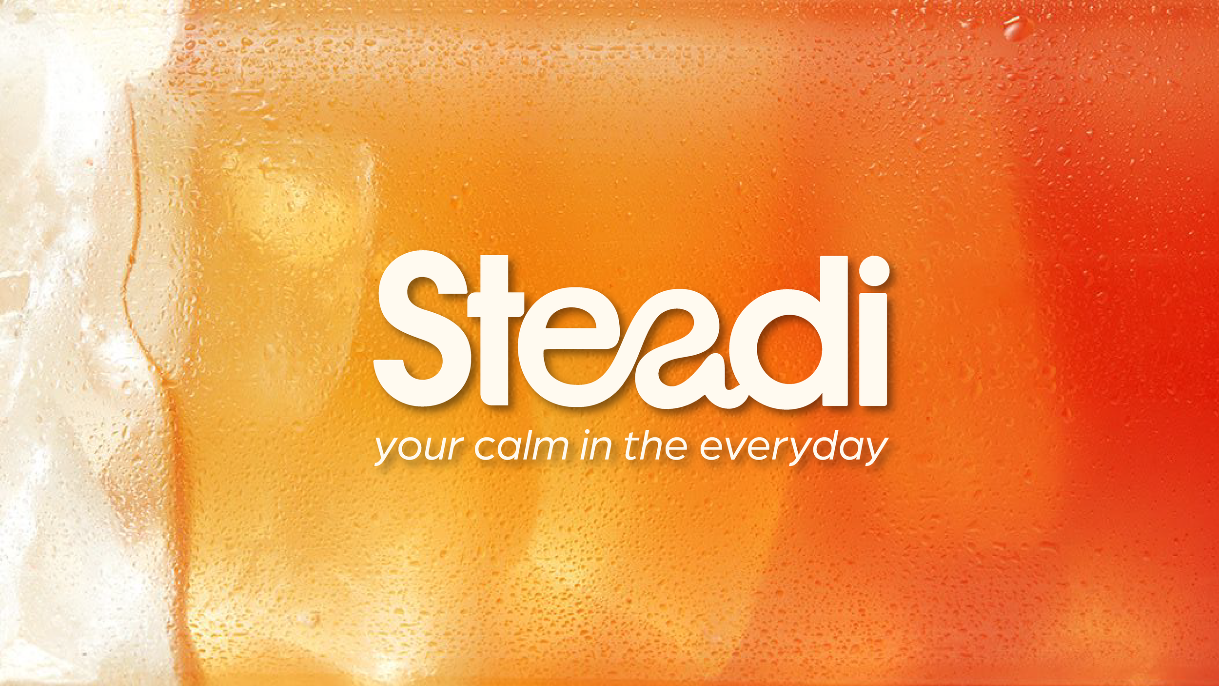 Steadi-02.png