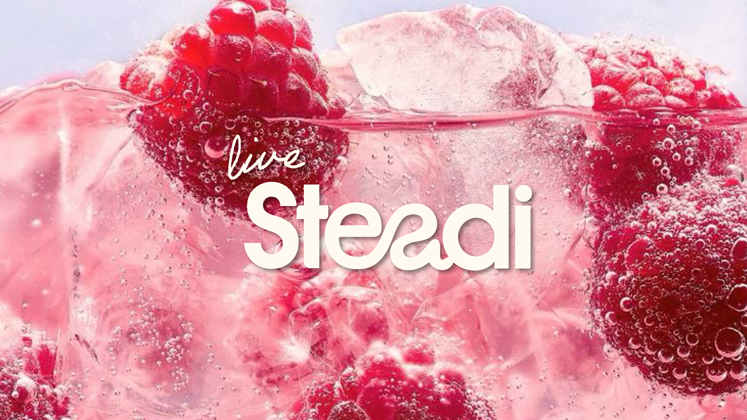 Steadi-01.png