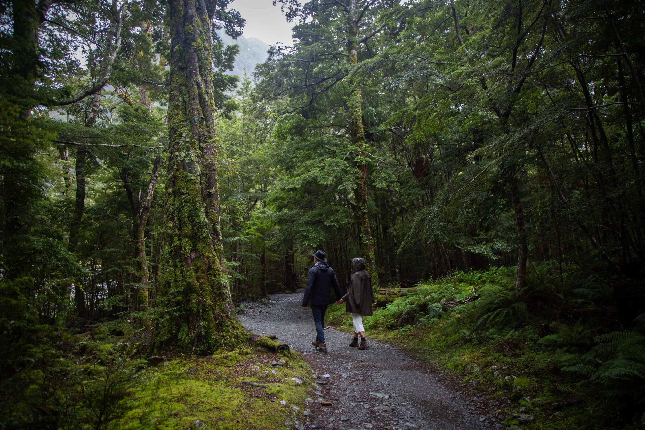 Two people walking hand-in-hand on a wooded forest trail with dense green trees and moss-covered ground.