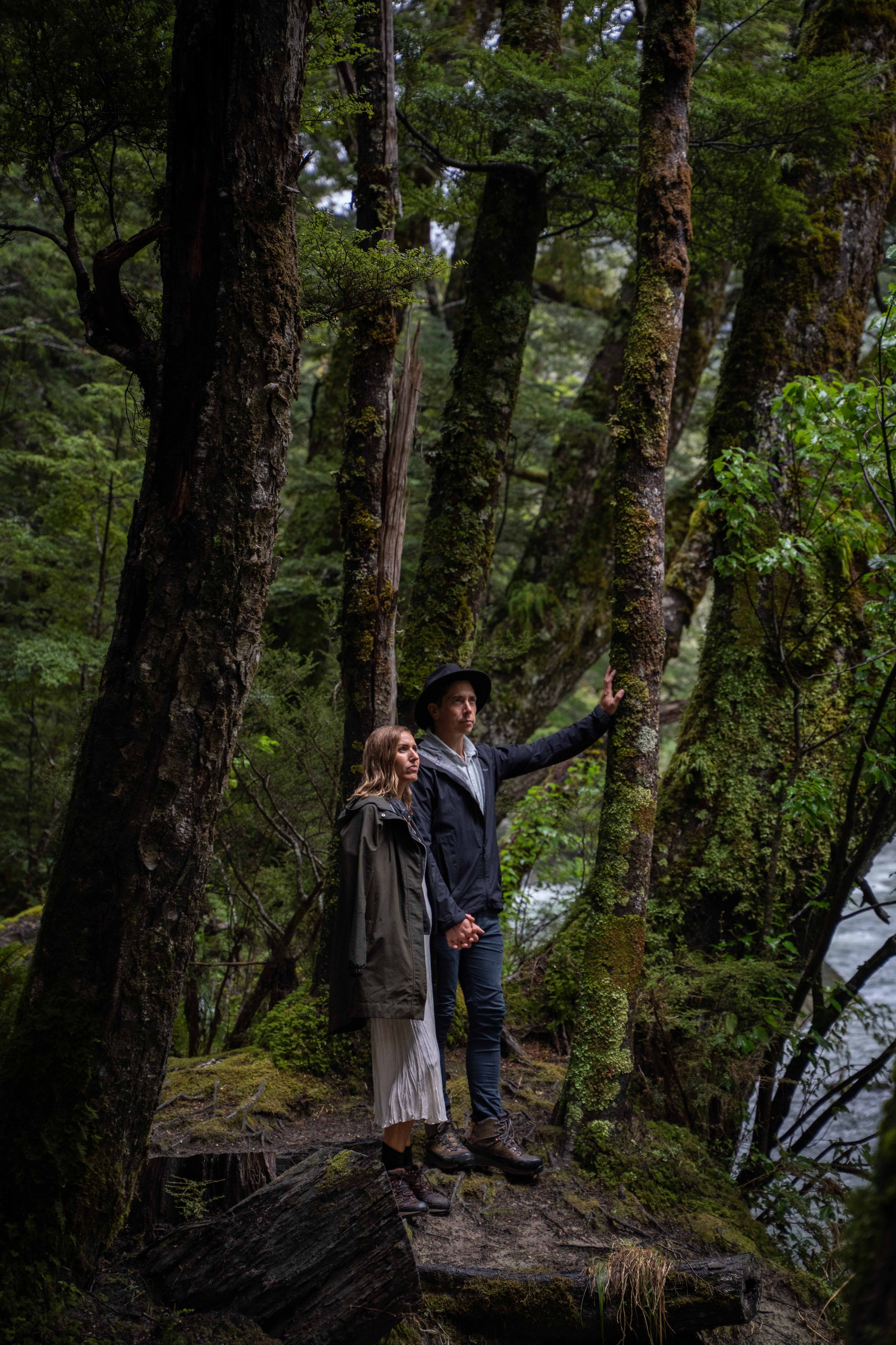A man and woman standing on a mossy log in a dense green forest, with the man reaching out to touch a large, moss-covered tree.