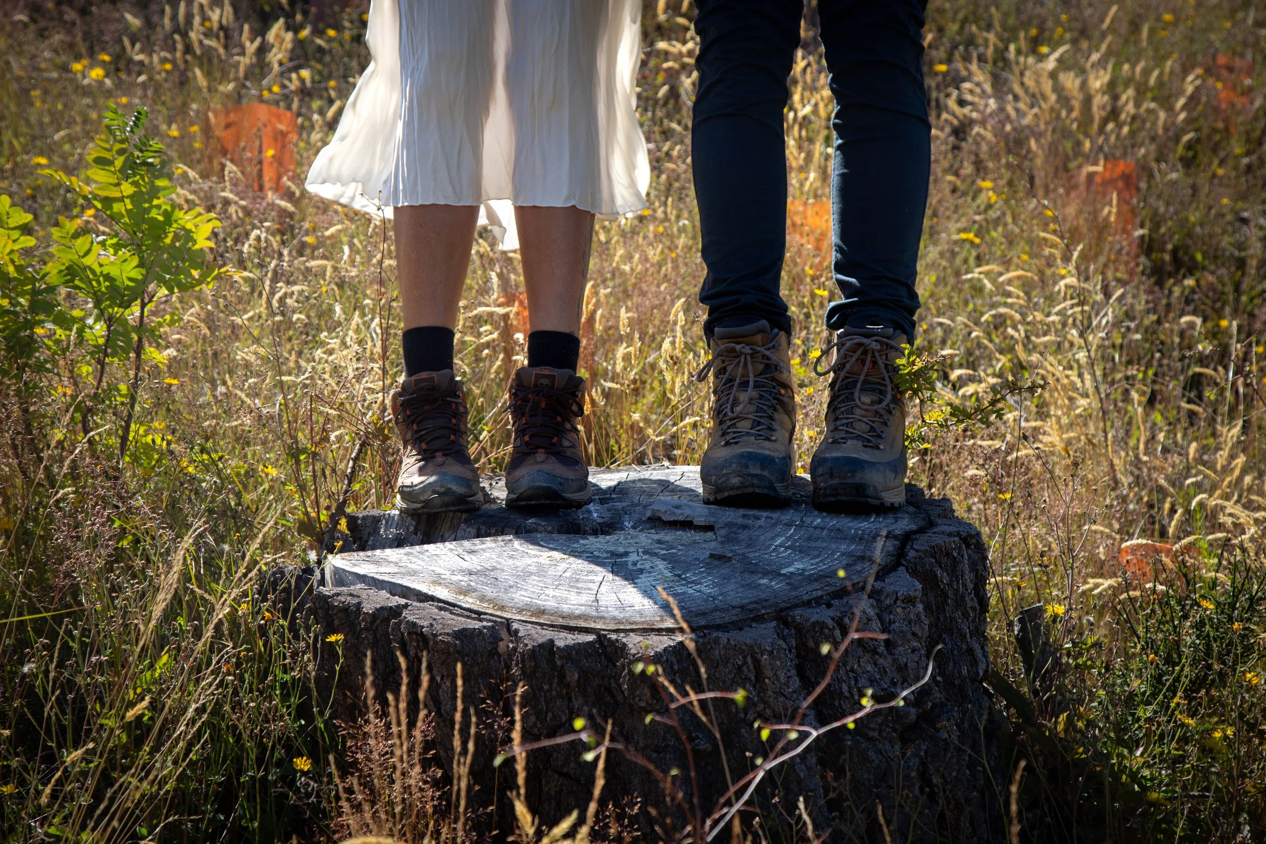 Two people standing on a tree stump in a grassy field, wearing hiking boots.