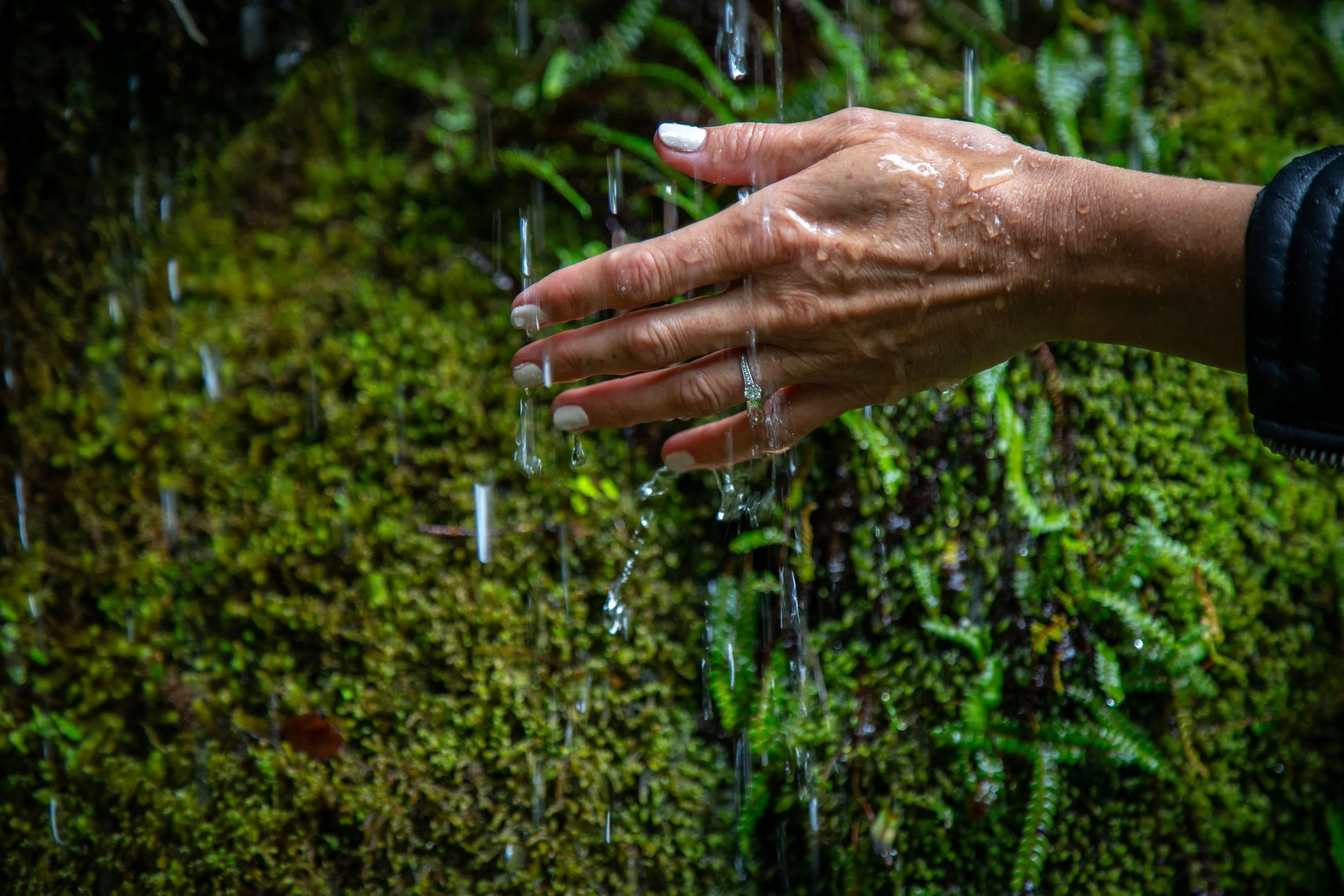 A person washing their hand under a stream of water outdoors surrounded by green moss and plants.