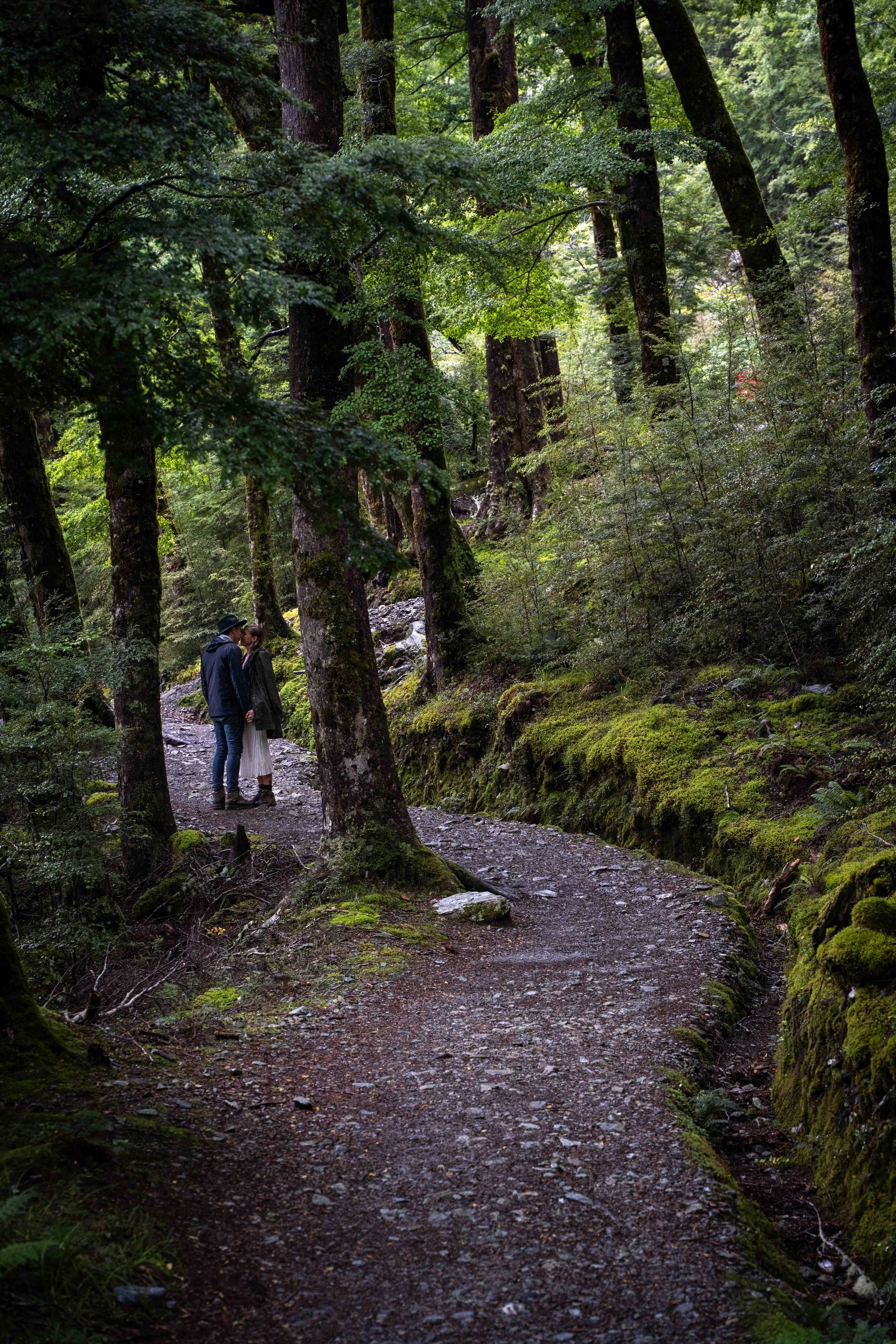 A couple standing and kissing on a forest trail surrounded by tall trees and lush green moss.