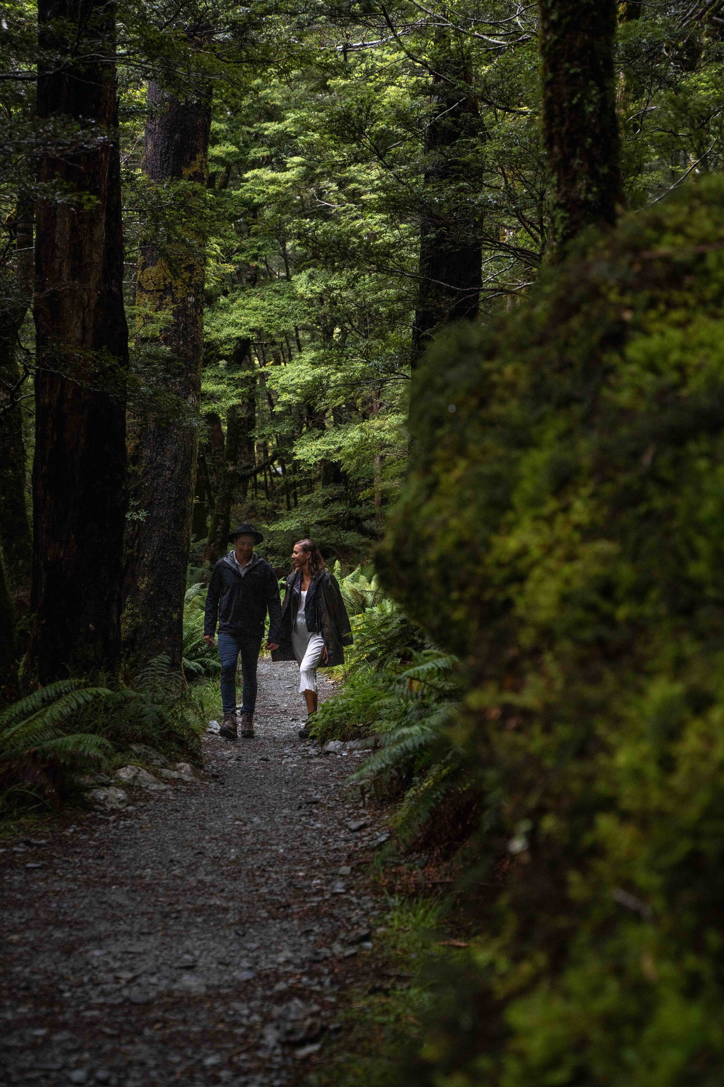 A couple walking on a forest trail surrounded by tall trees and lush greenery.