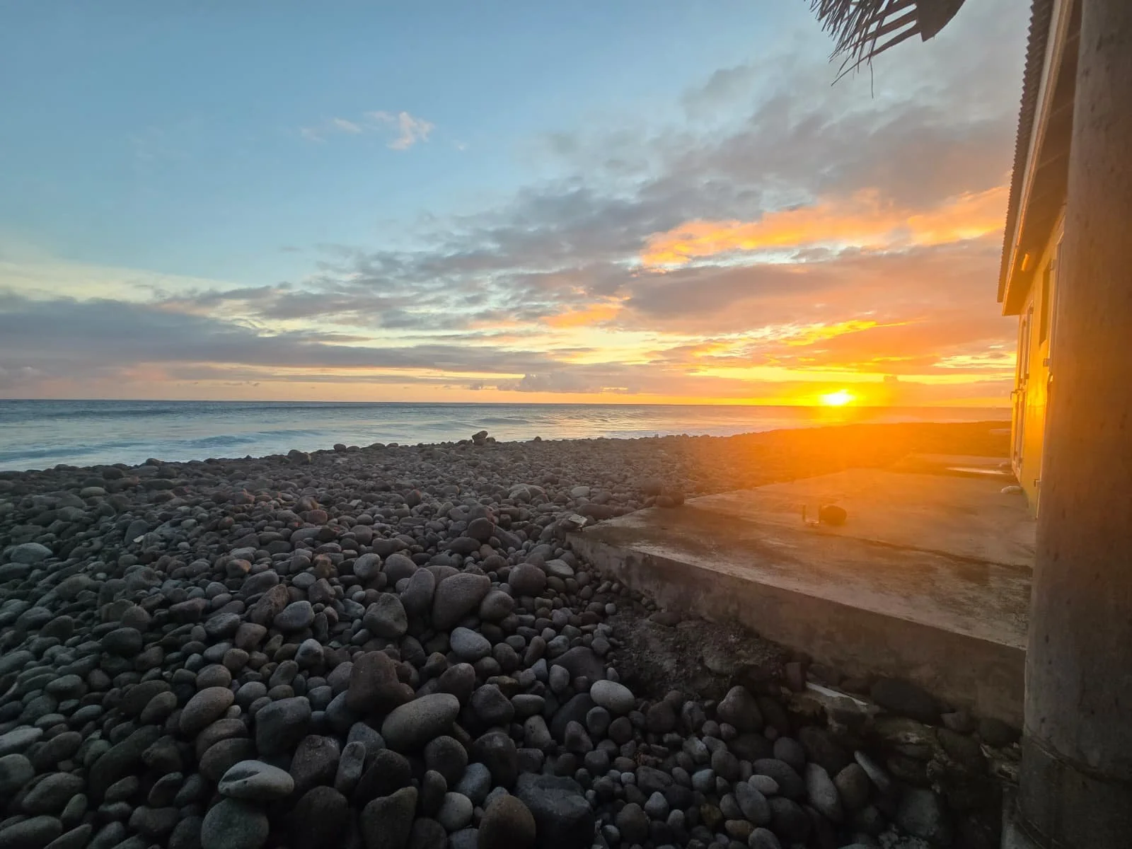 WhatsApp Image 2026-03-10 at 08.49.11 (1).jpeg