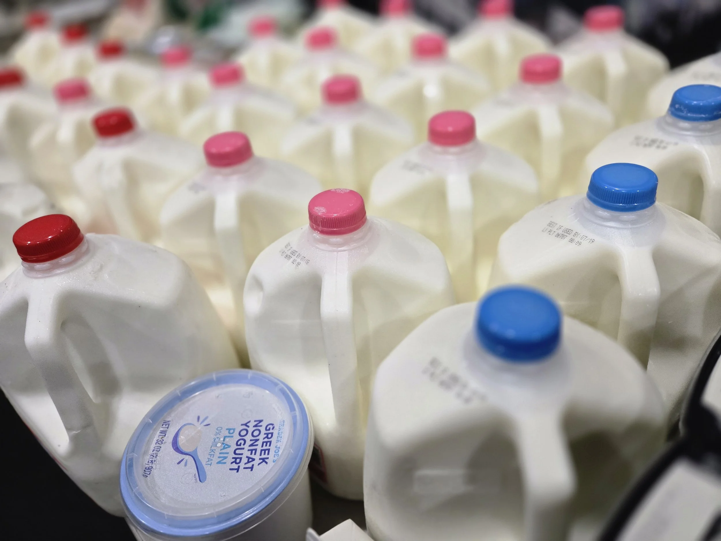 Colorful bottles of milk sit neatly lined up for a food distribution.