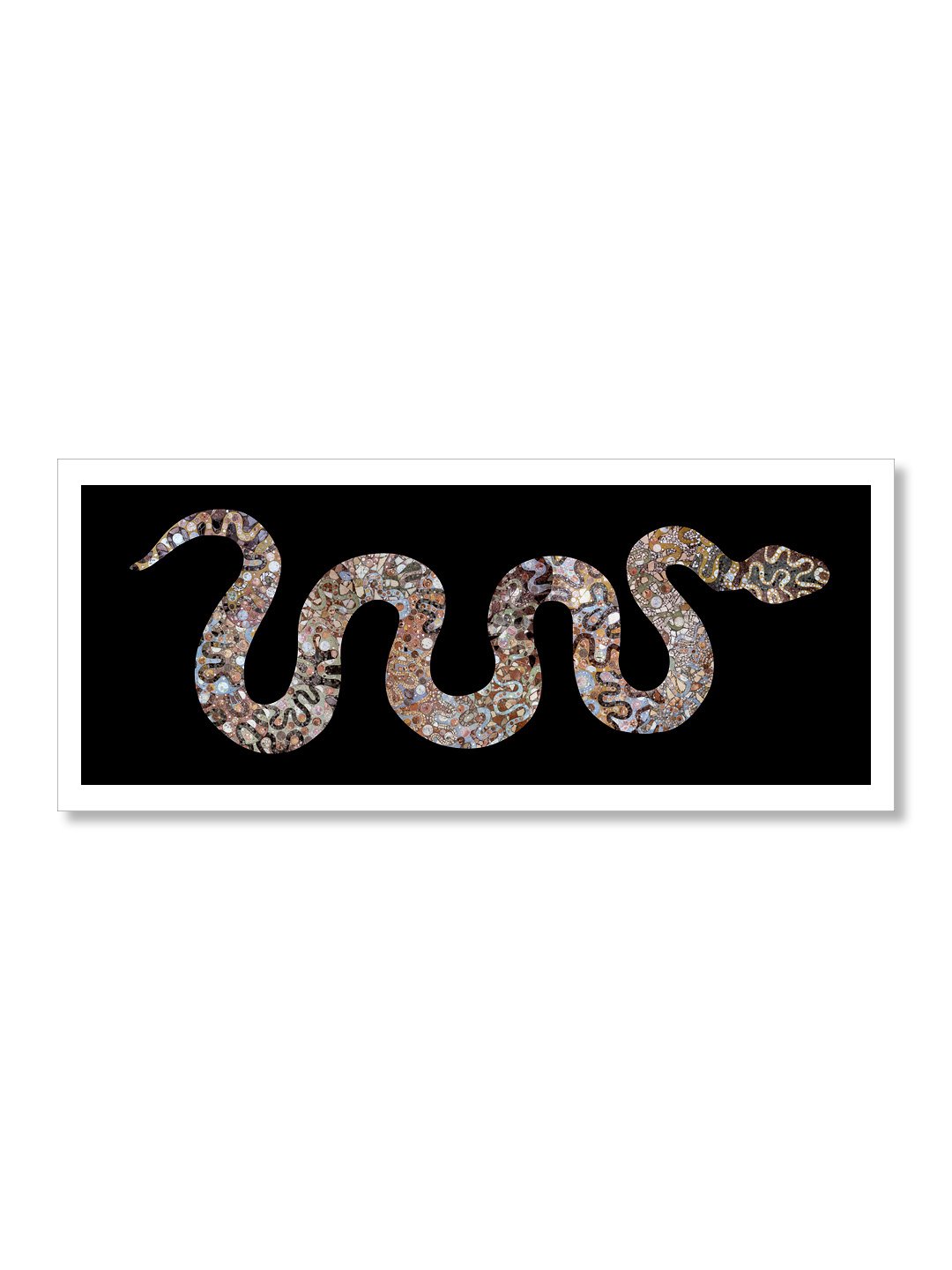 Rainbow Serpent Snake - 5.jpg