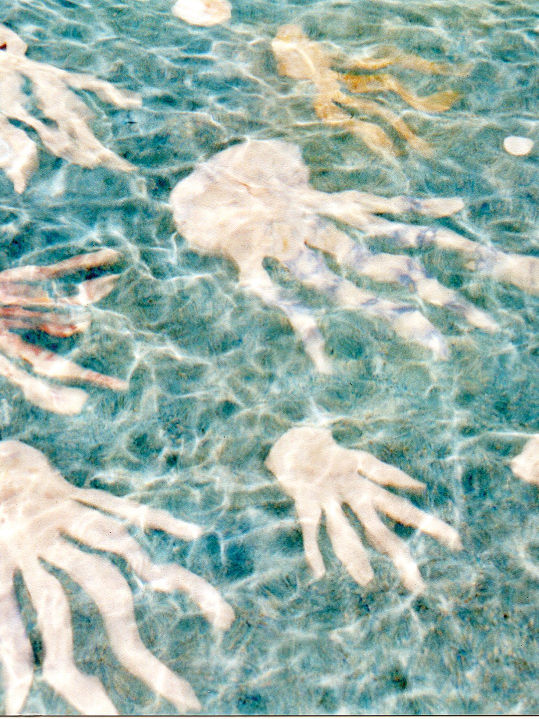 Dancing Jellyfish - 3.jpg