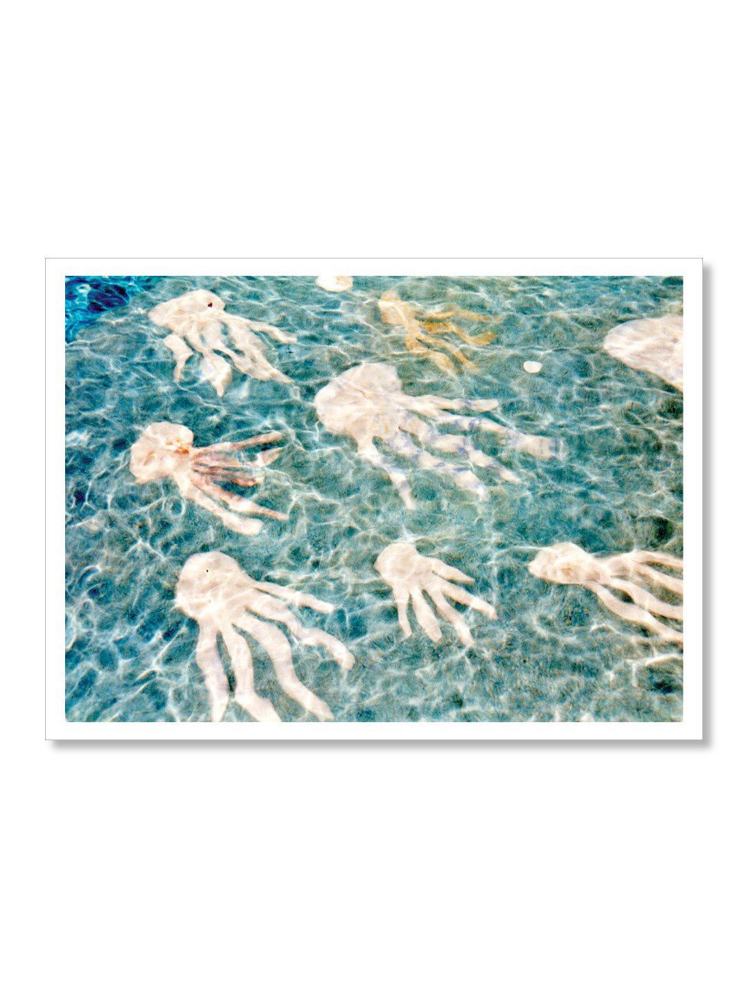 Dancing Jellyfish - 4.jpg