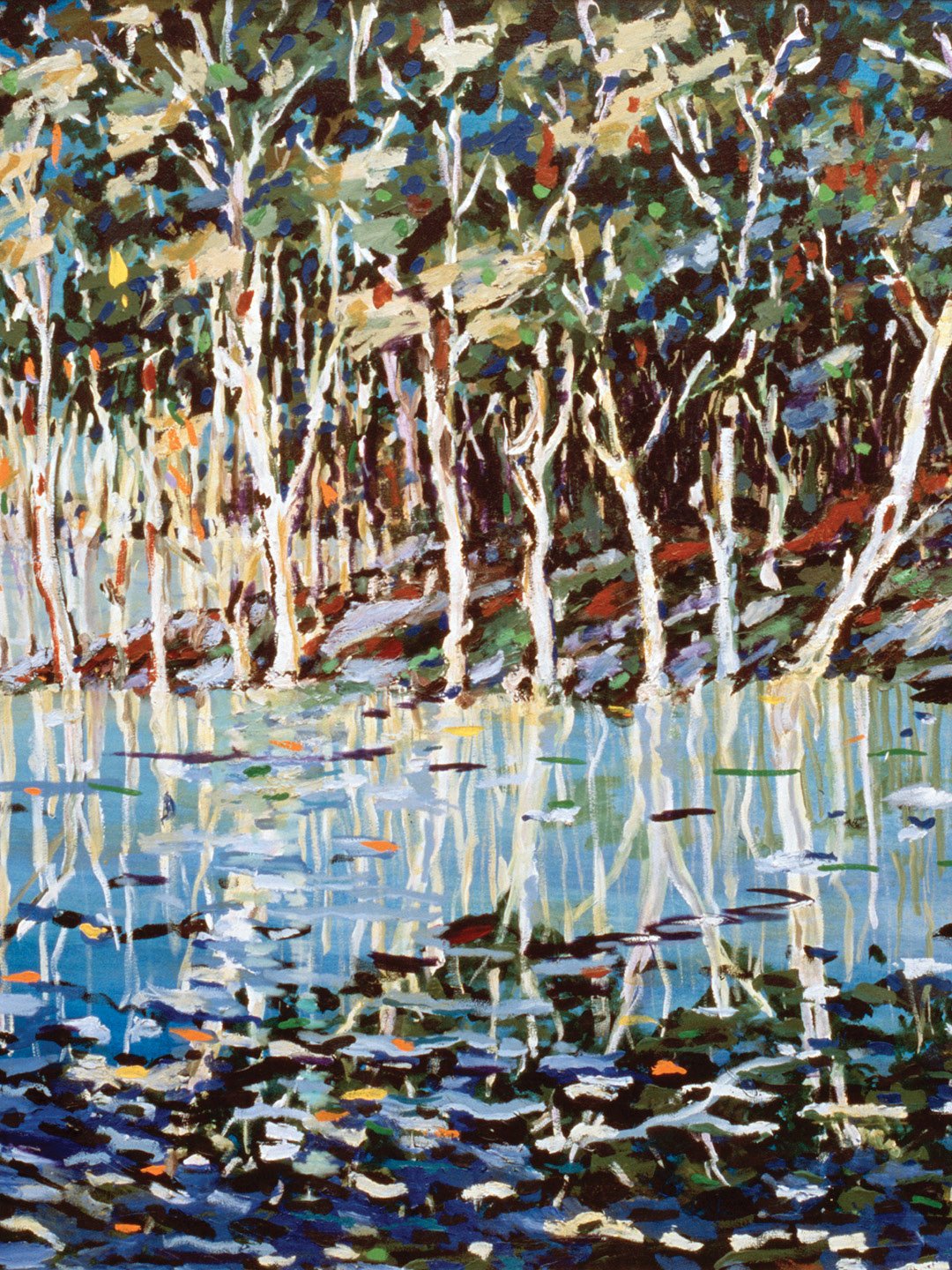 Billabong - 3.jpg