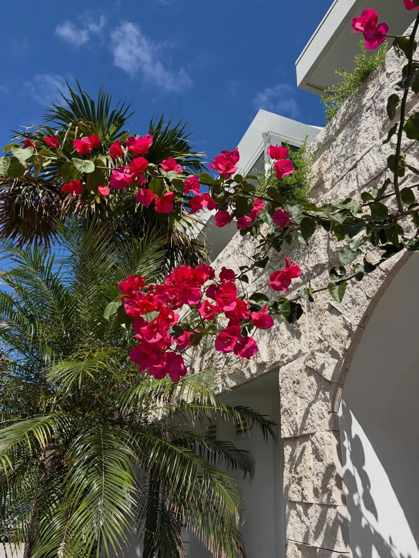 ✨ You might feel a subtle energetic shift this week&hellip;

On March 20 we reach the Equinox &mdash; a moment where day and night are almost perfectly balanced across the Earth. ⚖️🌍

In the Northern Hemisphere, this marks Spring 🌸 
In Australia an