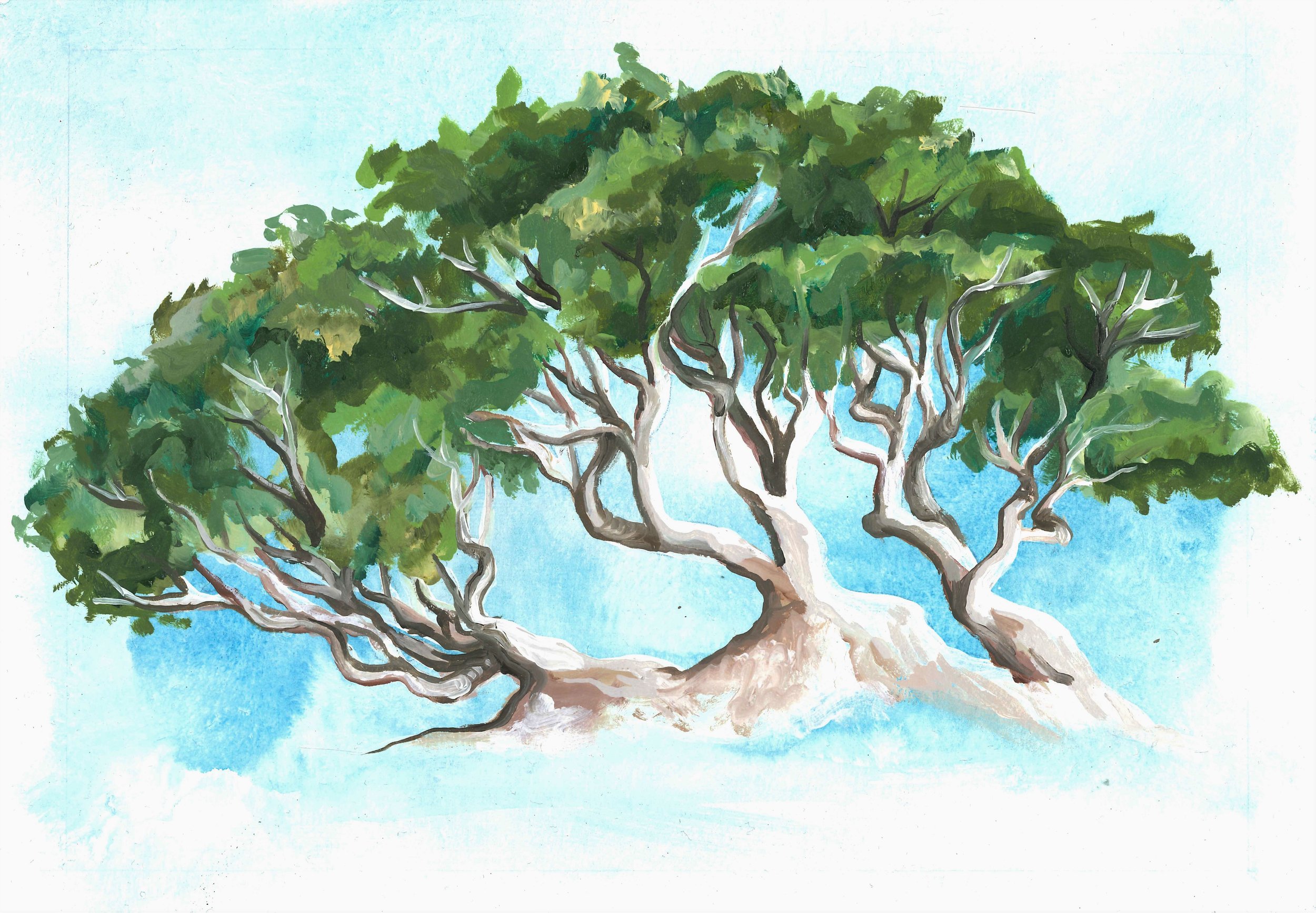 "Tree 3" Watercolour on paper, 21cm x 15cm