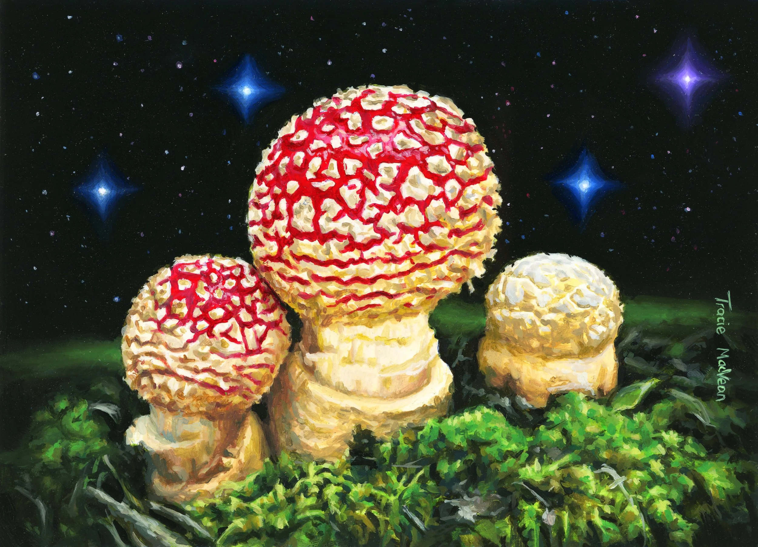 "Amanita Muscaria Emerging" Oil on panel, 13cm x 18cm