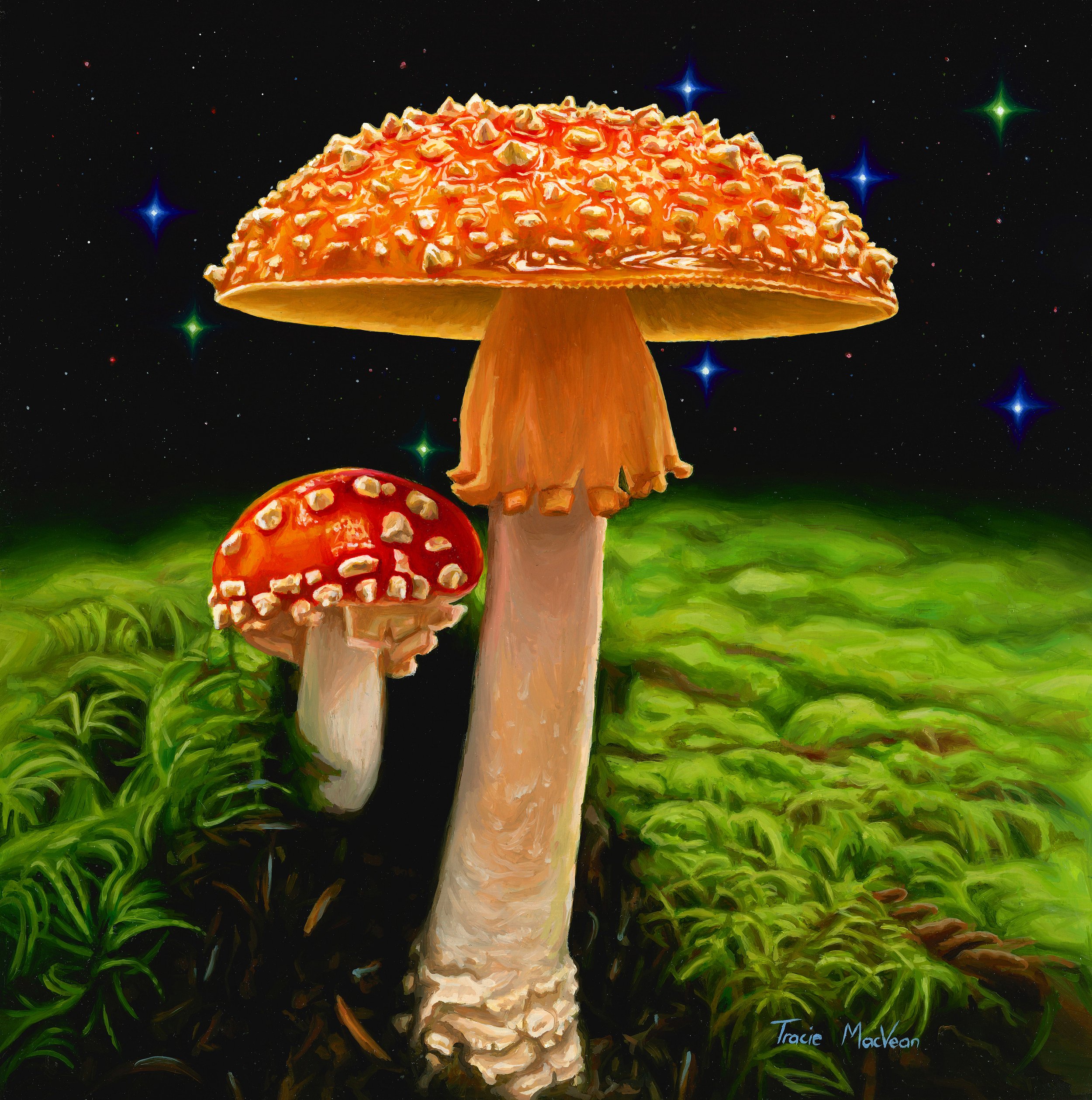 "Amanita Muscaria" Oil on panel, 40cm x 40cm