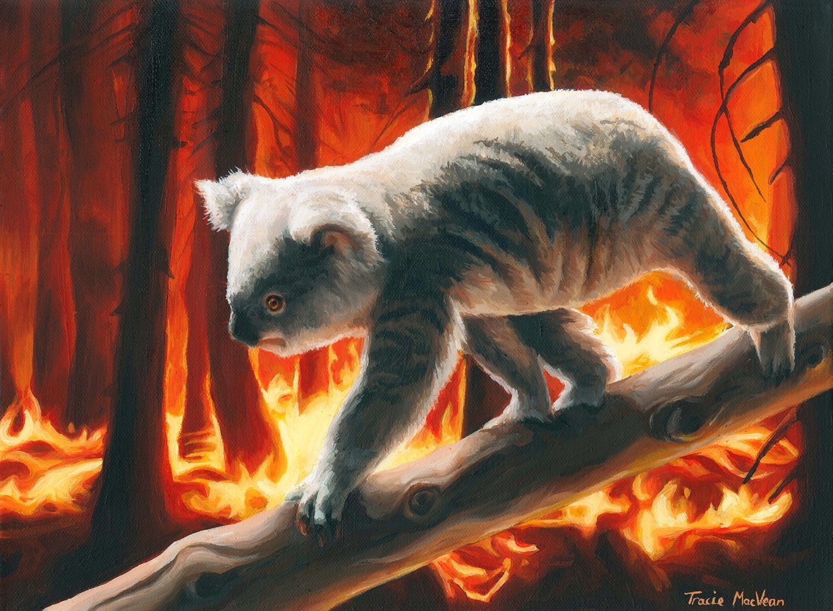 "Koala Escaping Flames" Oil on canvas, 30cm x 40cm