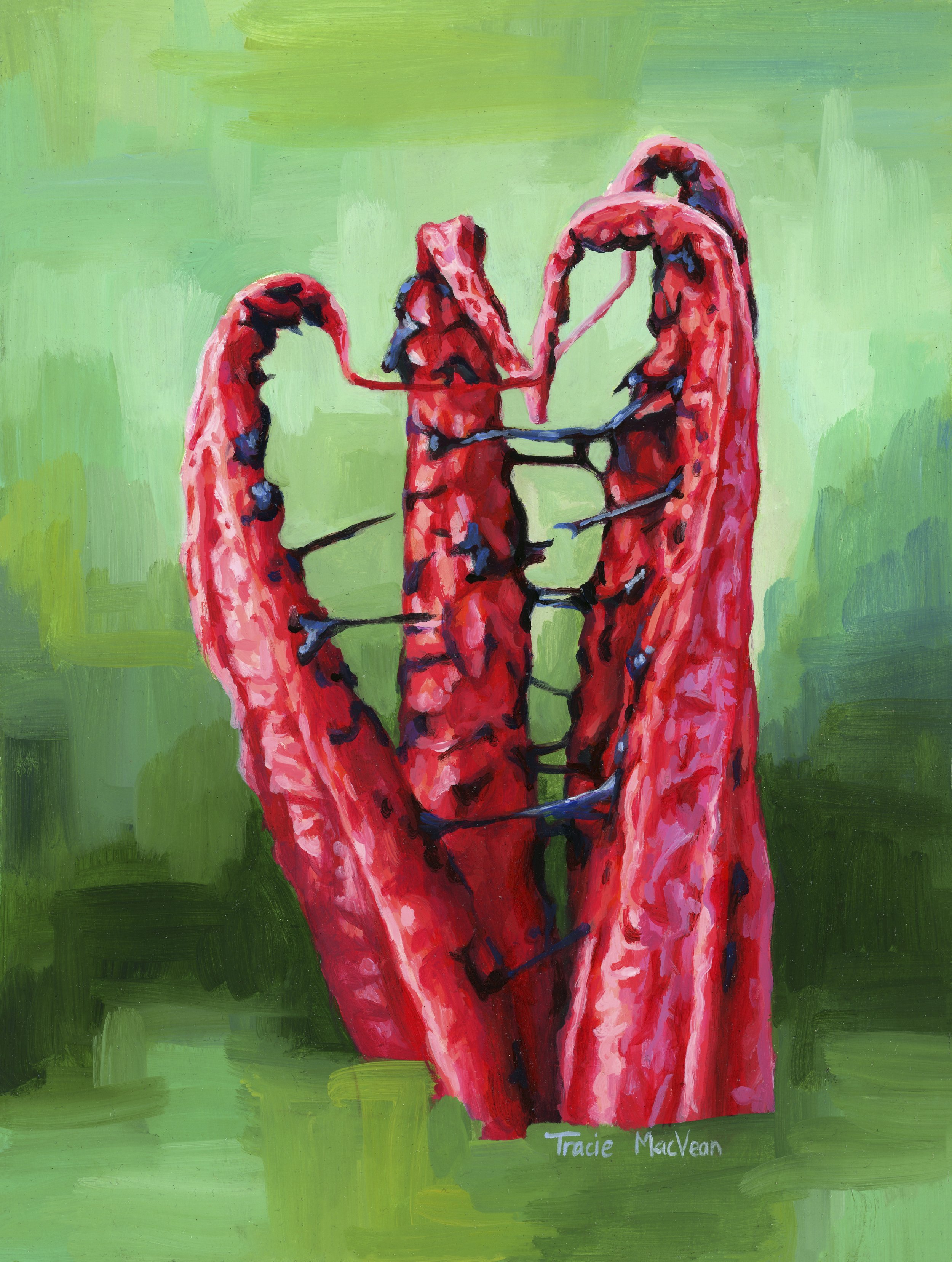 "Clathrus Archeri" Oil on panel, 15cm x 20cm