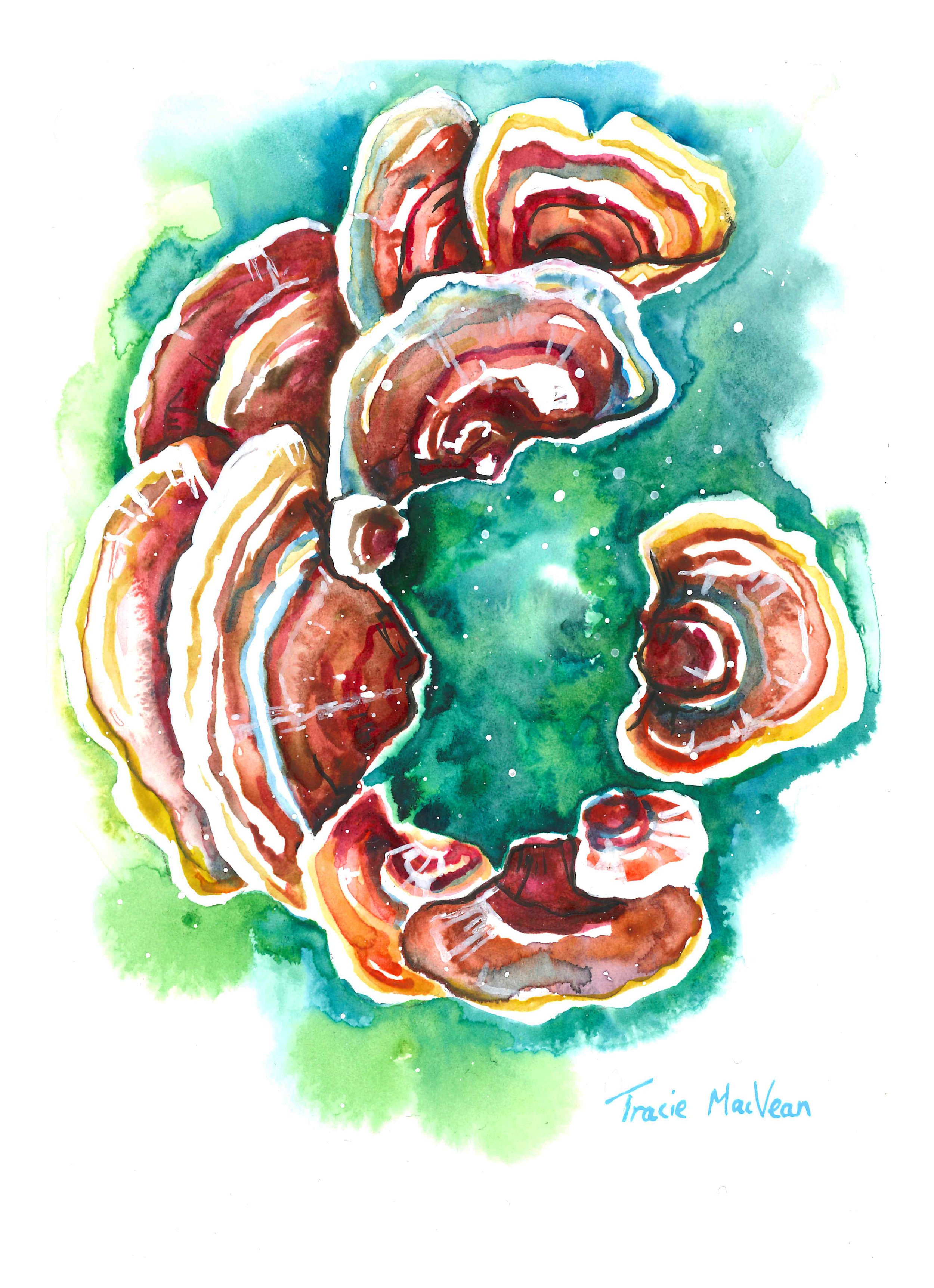 "Turkey Tail Fairy Ring" Acrylic ink on paper, 15cm x 21cm