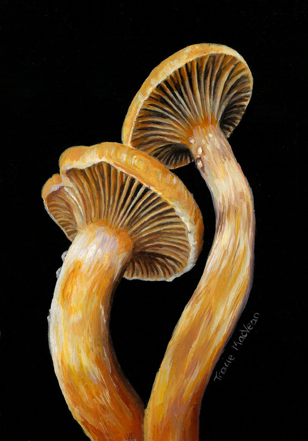 "Chroogomphus Helveticus" Oil on panel, 9cm x 13cm