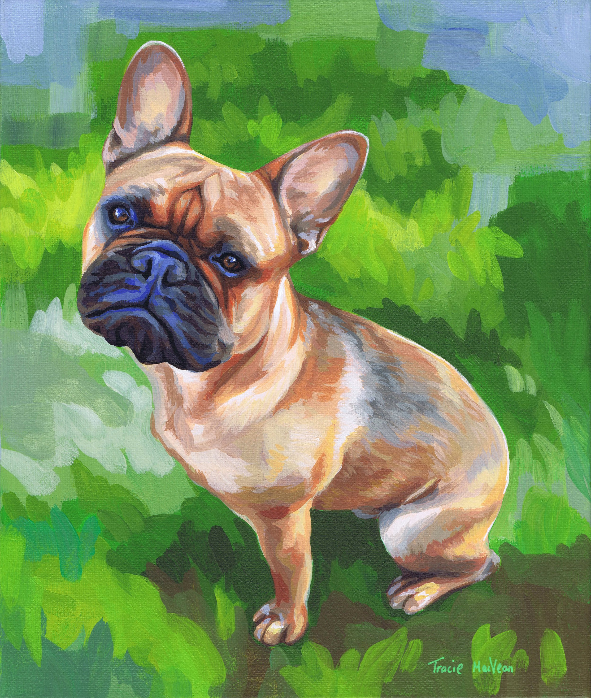 "French Bulldog" Acrylic on canvas, 25cm x 30cm