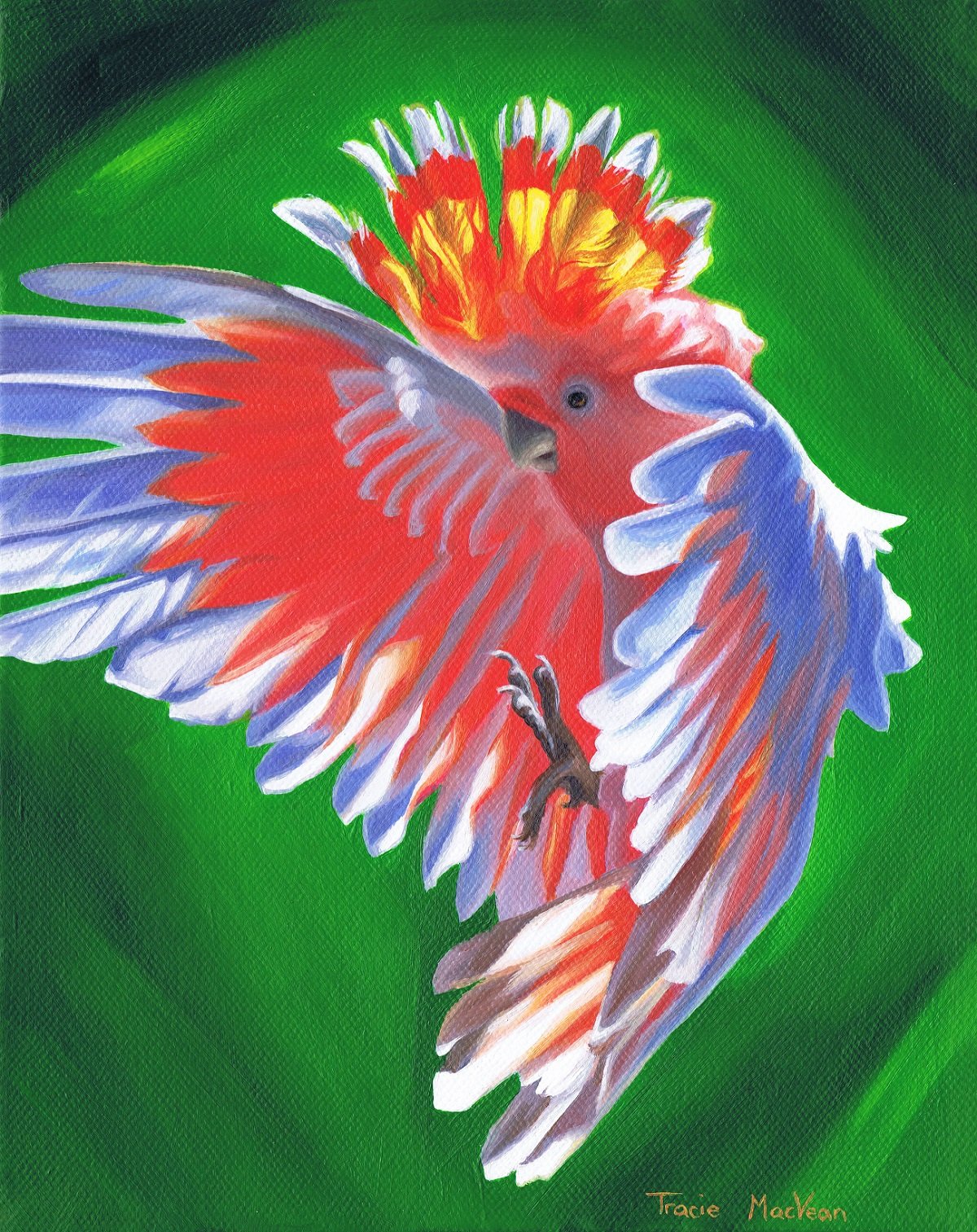 "Major Mitchel" Acrylic on paper, 25cm x 30cm